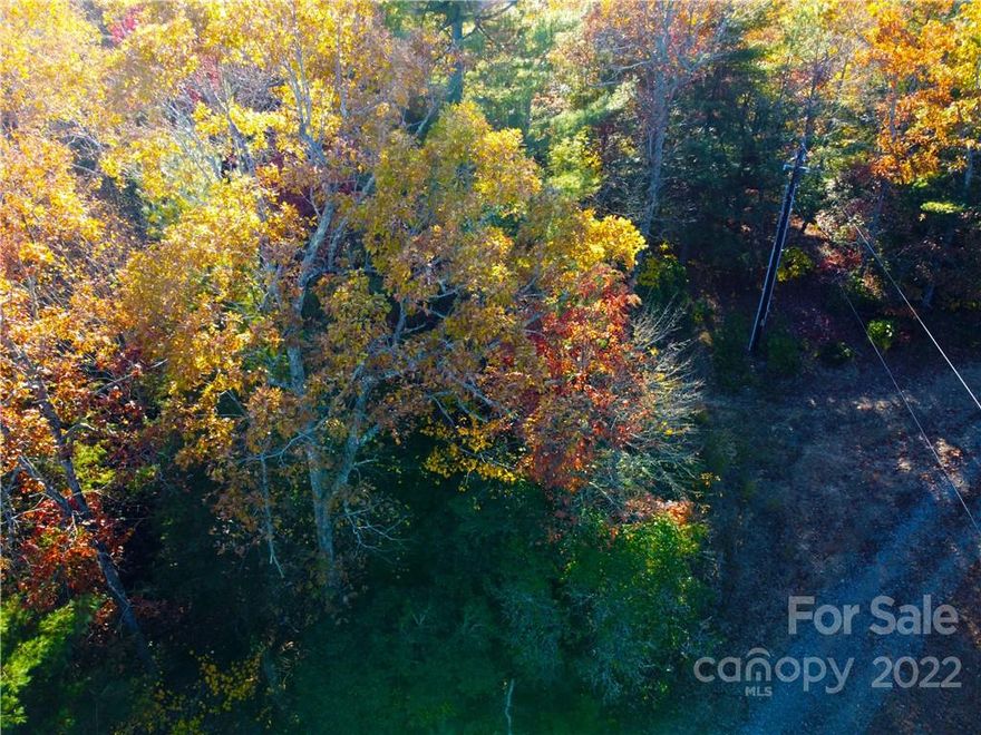 Tranquil and scenic Carolina mountain top living is what you will find here! This .86 acre level to gentle sloping lot in private Dogwood Mountain Estates is an excellent opportunity to build your forever, or a vacation home. Underground electric is already installed. Approximately 3300 ft above sea level. Located just minutes from DuPont State Forest, and the Oscar Blues Ranch as well as conveniently located close to  Historic Hendersonville and Brevard. ***This lot is not currently part of the Dogwood Mountain Estate HOA. Seller makes no representations regarding, and it is the buyer's responsibility to determine, the property's relationship to the HOA and any road Maintencance responsibility/fees. Please contact the Dogwood Mountain Estate HOA president-- Mike Hopton (251) 402-2504 for information.*** Buyer accepts full responsibility for septic permit/soil (perc) test and any required preparation, process and fees***