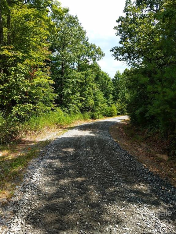 000 Emma Bri Lane F1