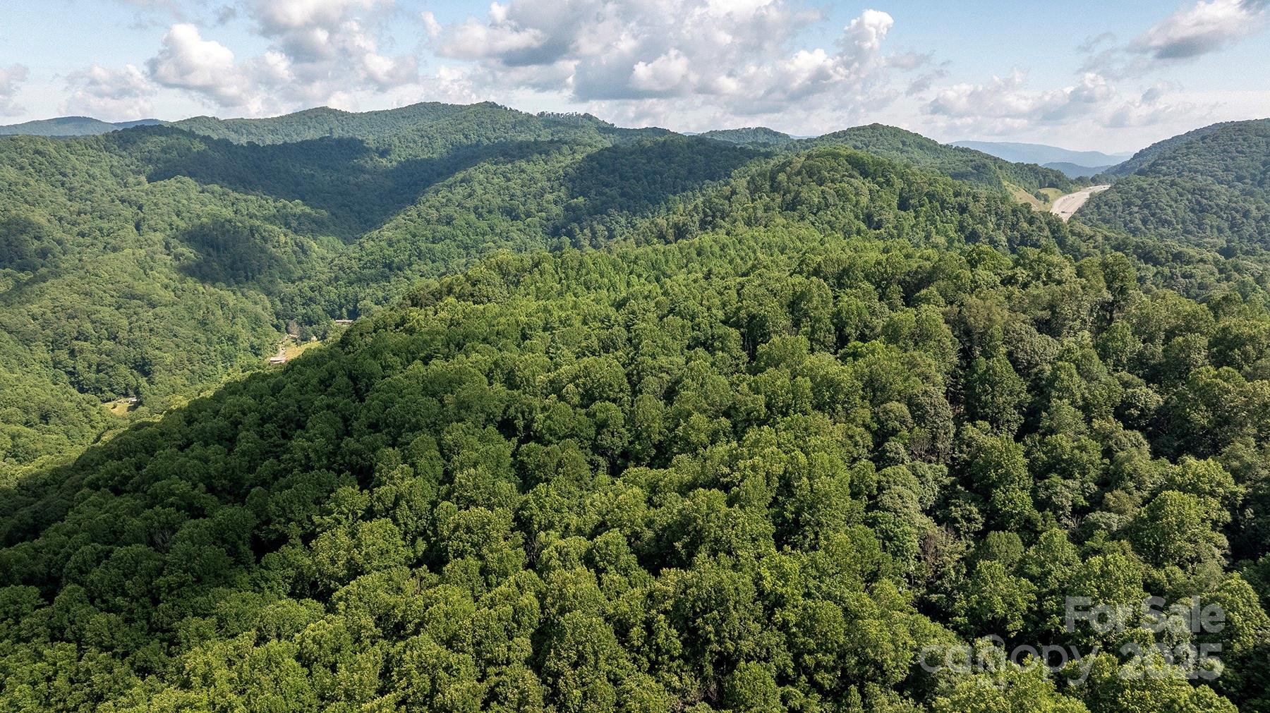 1710 Roaring Fork Road