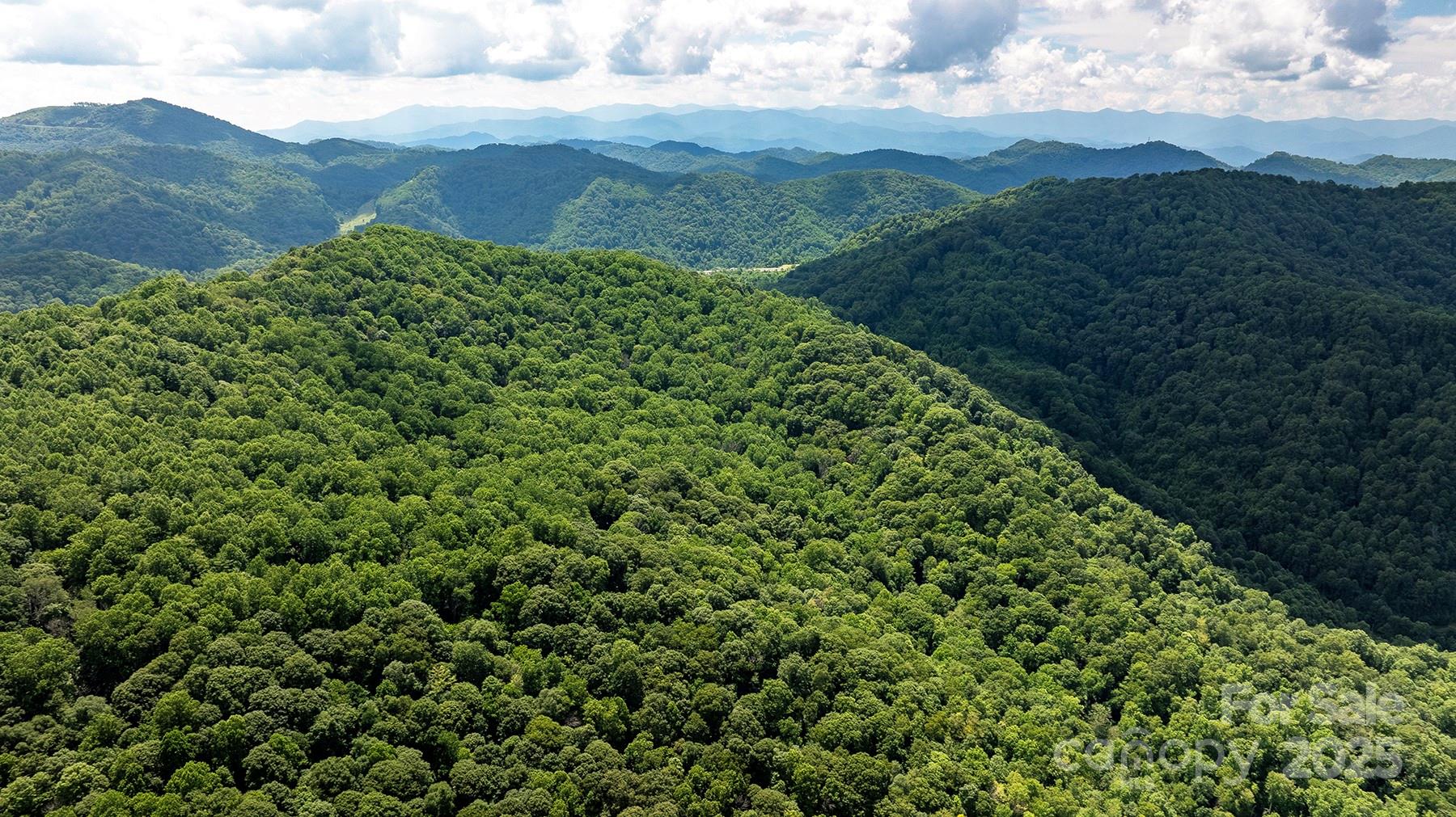 1710 Roaring Fork Road