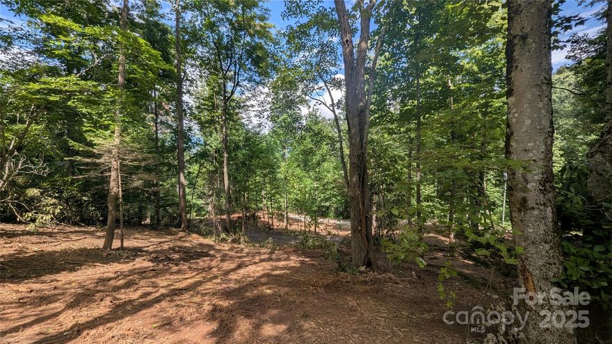 Build your dream home just minutes from downtown Waynesville on this level 0.44-acre buildable lot with city water and sewer available in Phase 1 of Chestnut Walk Subdivision! Enjoy the convenience of paved roads and easy access while being only a short drive to shopping, dining, and all the charm Waynesville has to offer. This homesite should make construction simple and cost-effective, offering an ideal opportunity for a primary residence, second home, or investment property. Rarely do lots with this combination of location, utilities, and accessibility come on the market with the availability of city water and city sewer.