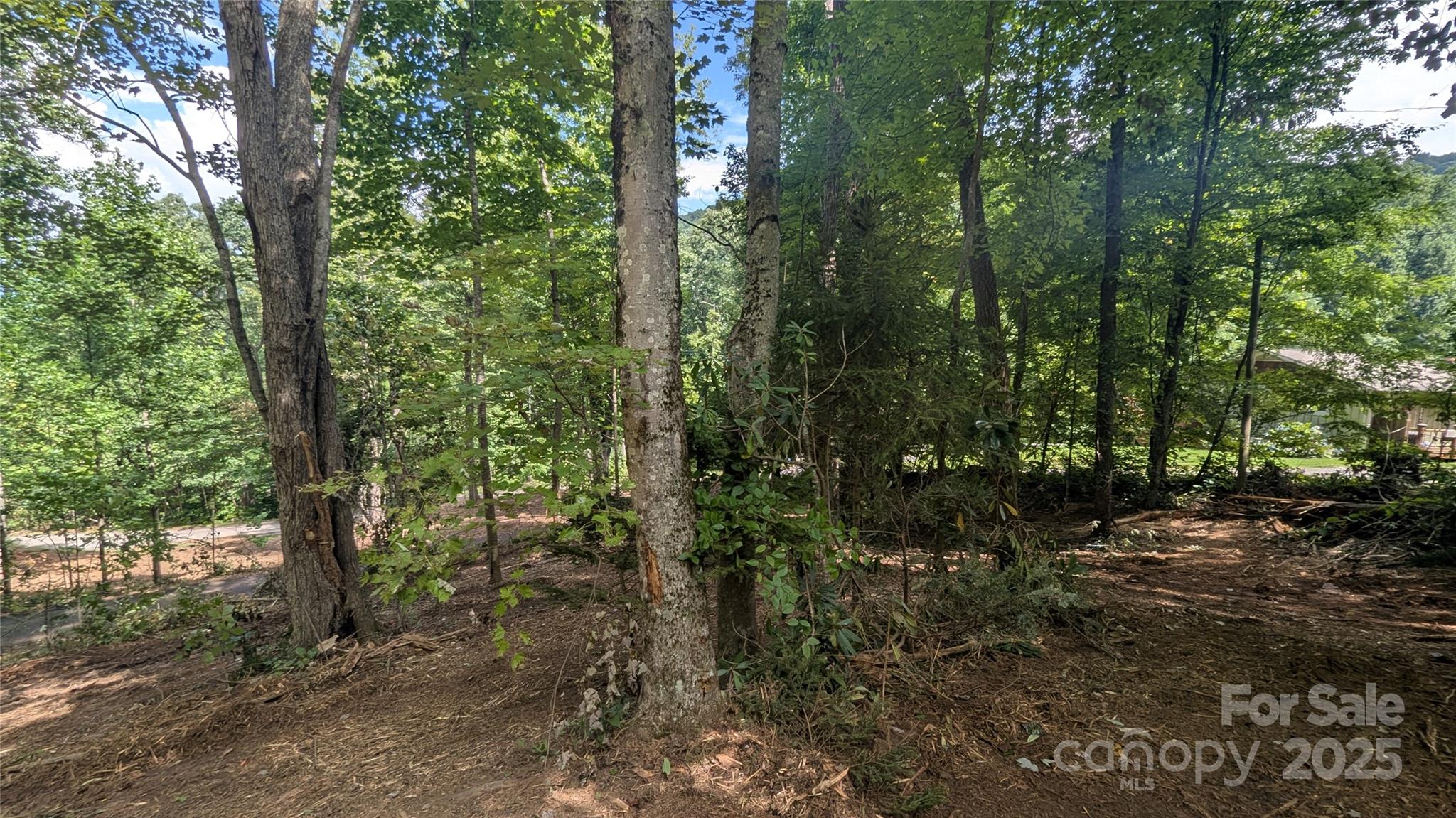 Chestnut Walk - Land