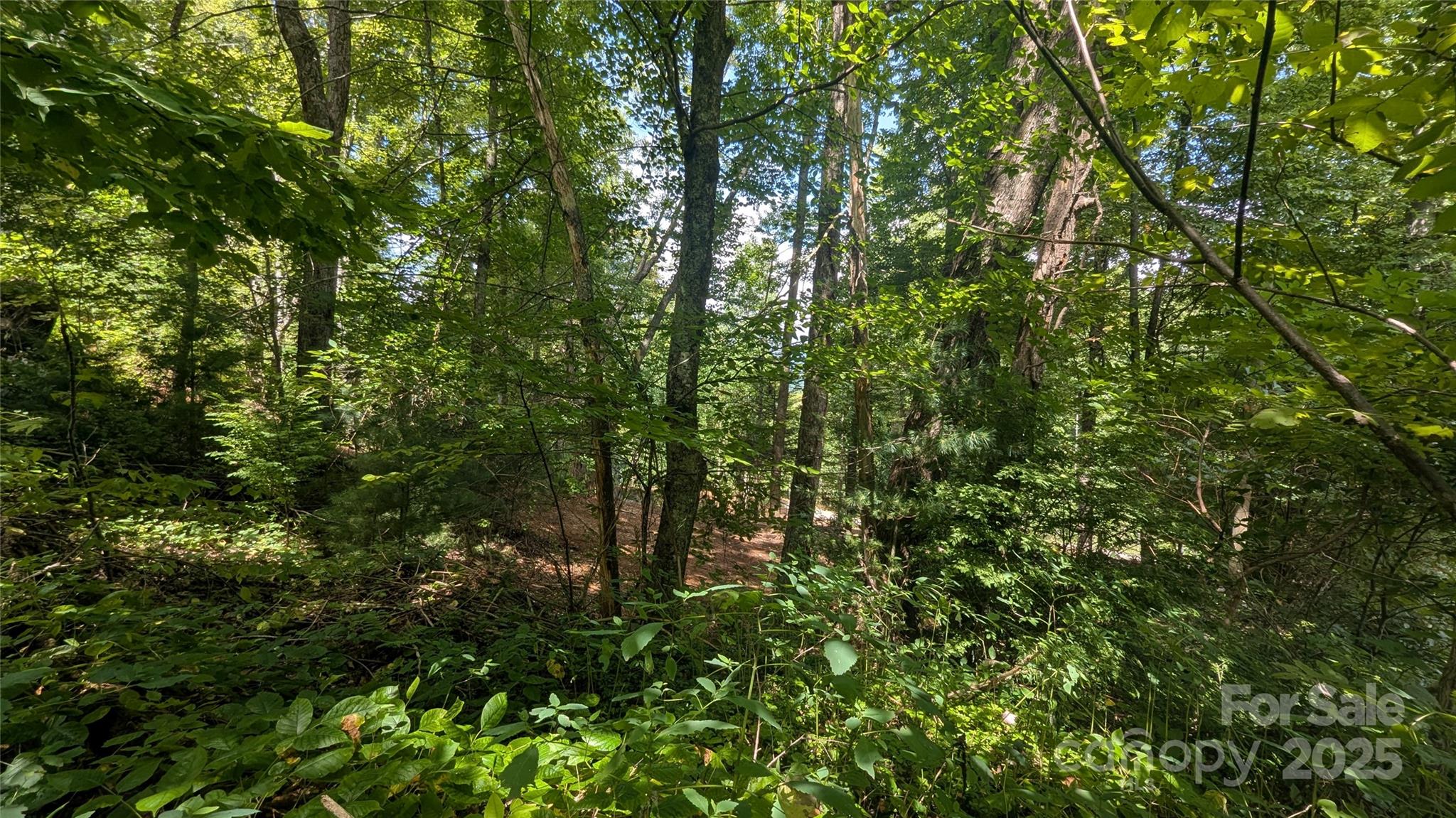 Chestnut Walk - Land