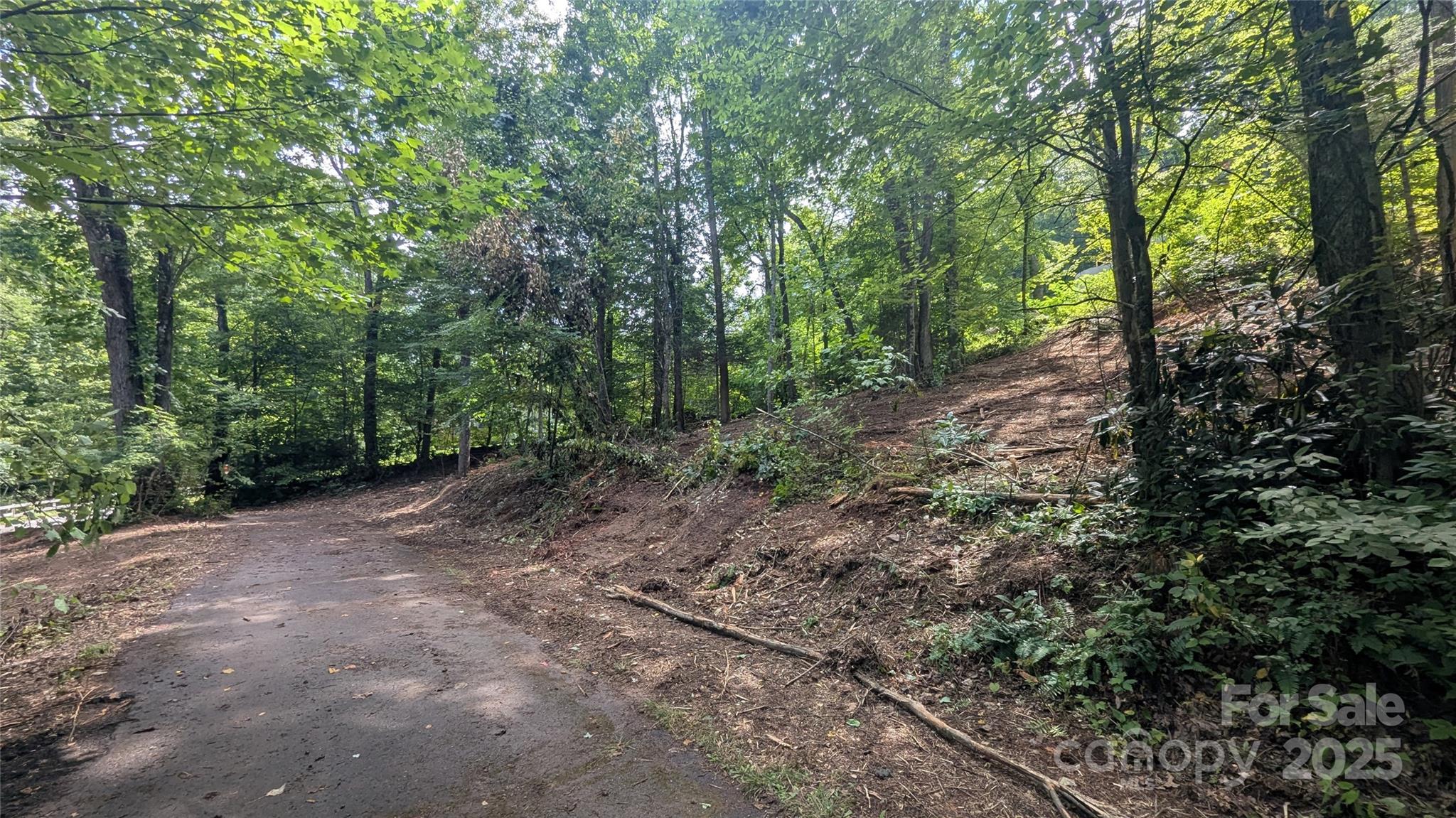 Chestnut Walk - Land