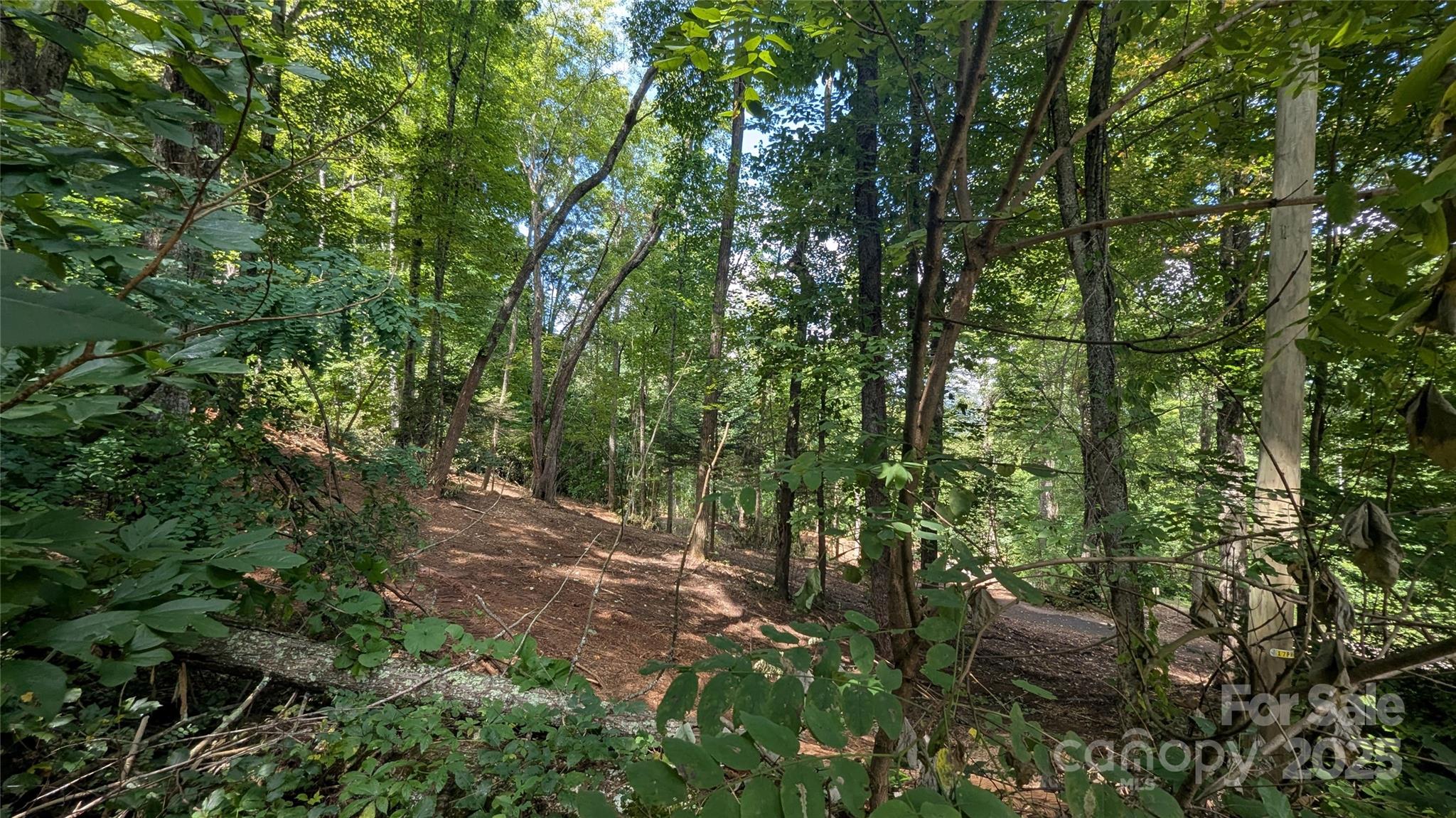 Chestnut Walk - Land