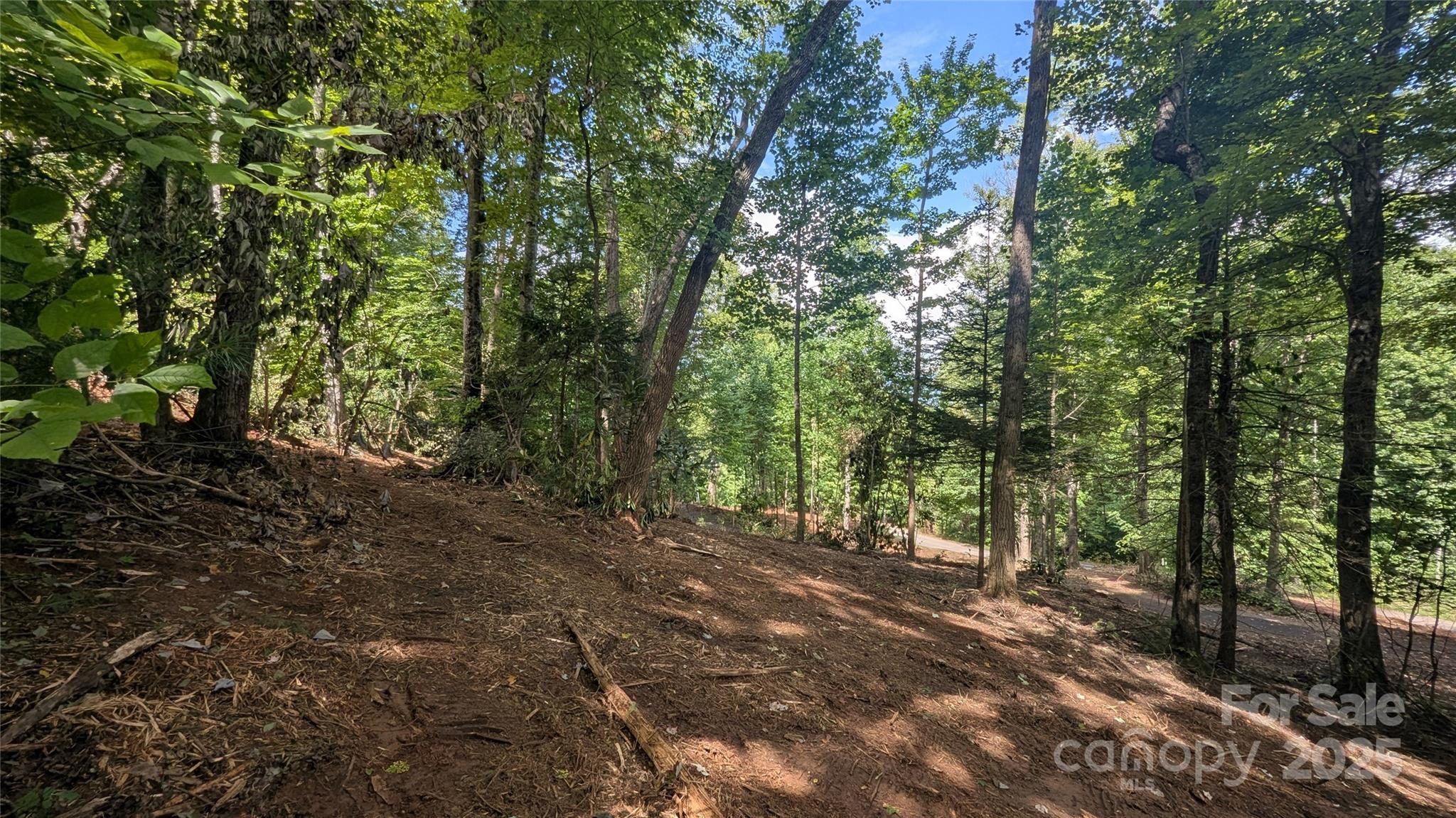 Chestnut Walk - Land