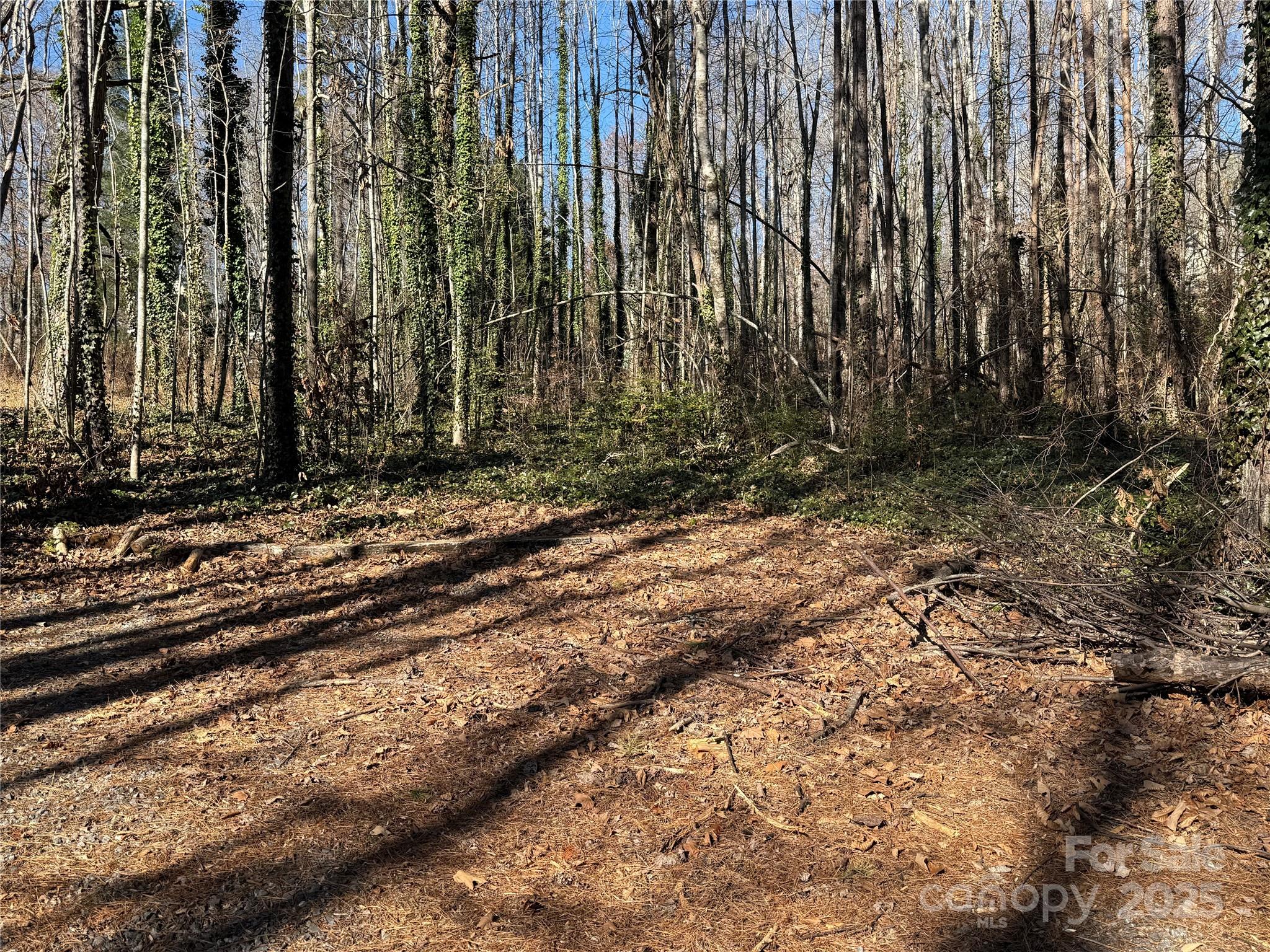 584 Chatuge Village Circle