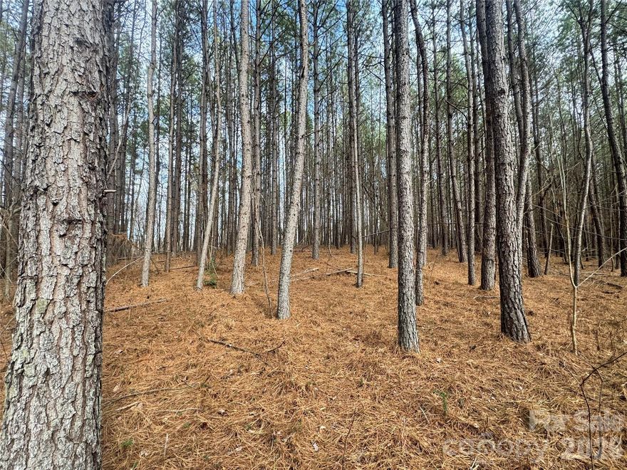 Discover approximately 116 acres of beautiful wooded land offering privacy, versatility, and long-term potential. This expansive tract features road frontage on Hudlow Road, Mount Vernon Cemetery Road, Highway 64, and Jobe Lake Road, providing multiple entry points and strong future flexibility. With these multiple access points and road frontage, the property lends itself to a wide range of possibilities: estate homesites, subdivision potential, recreational retreat, hunting land, or a long-term investment hold. Mature woods, rolling topography, and natural surroundings create a setting that feels remote while still offering excellent accessibility. County water is available, adding convenience and increasing development and building potential. 

The property provides natural creeks, mature timber, wide trails and abundant a wildlife habitat making it ideal for hunting, hiking, or outdoor enjoyment.  

Whether you are seeking a secluded retreat, a development opportunity, or land to hold for future value, this property presents a rare chance to own a large, wooded tract.