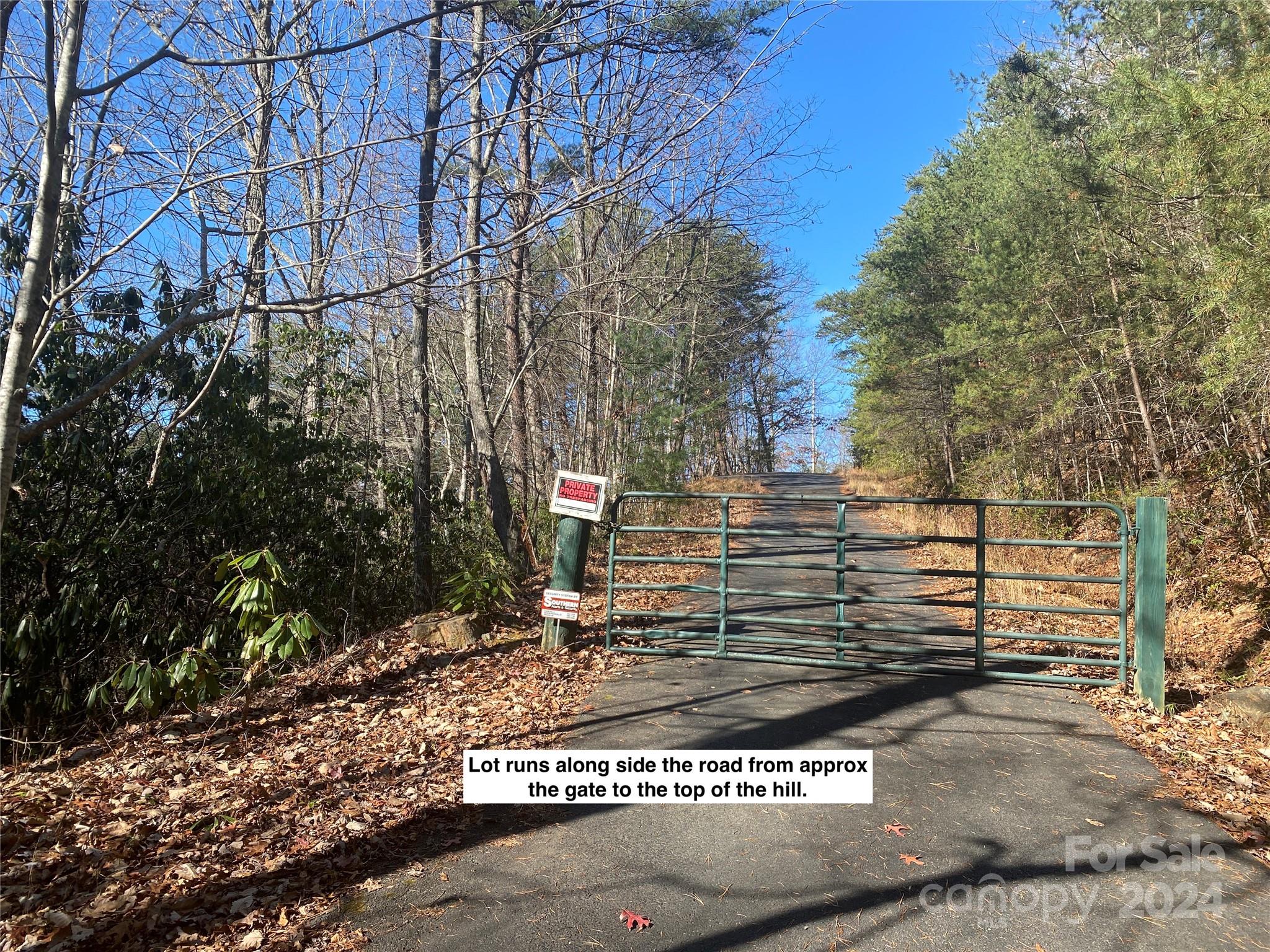 81 Lucerne Drive