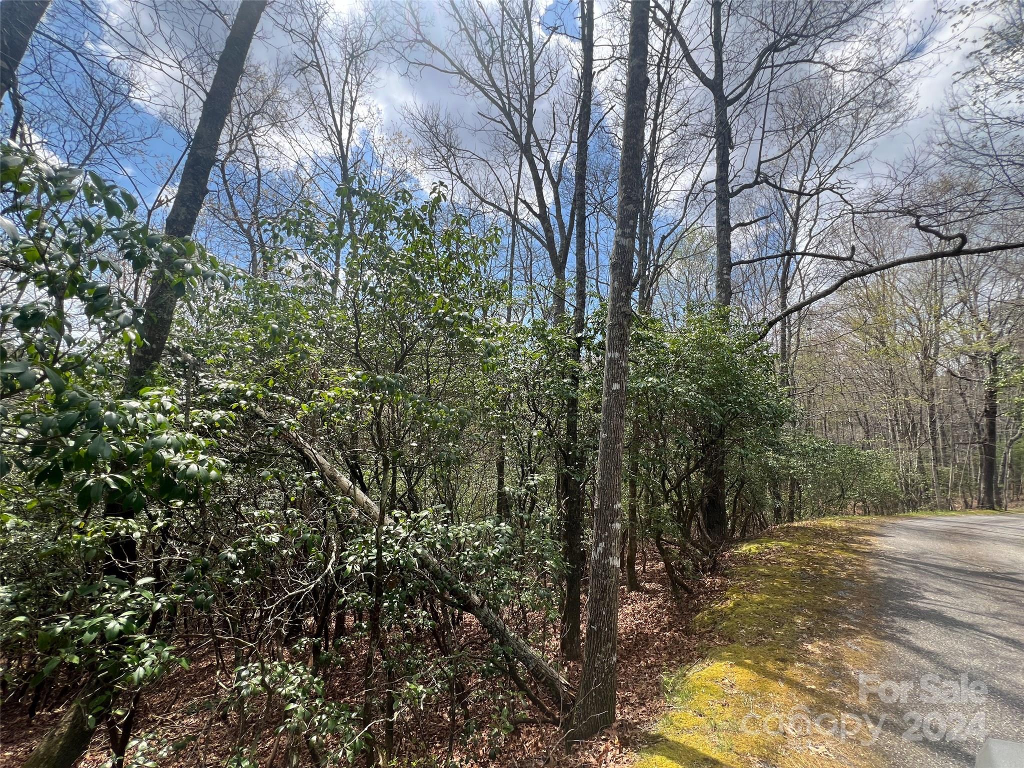 Sequoyah Woods - Land