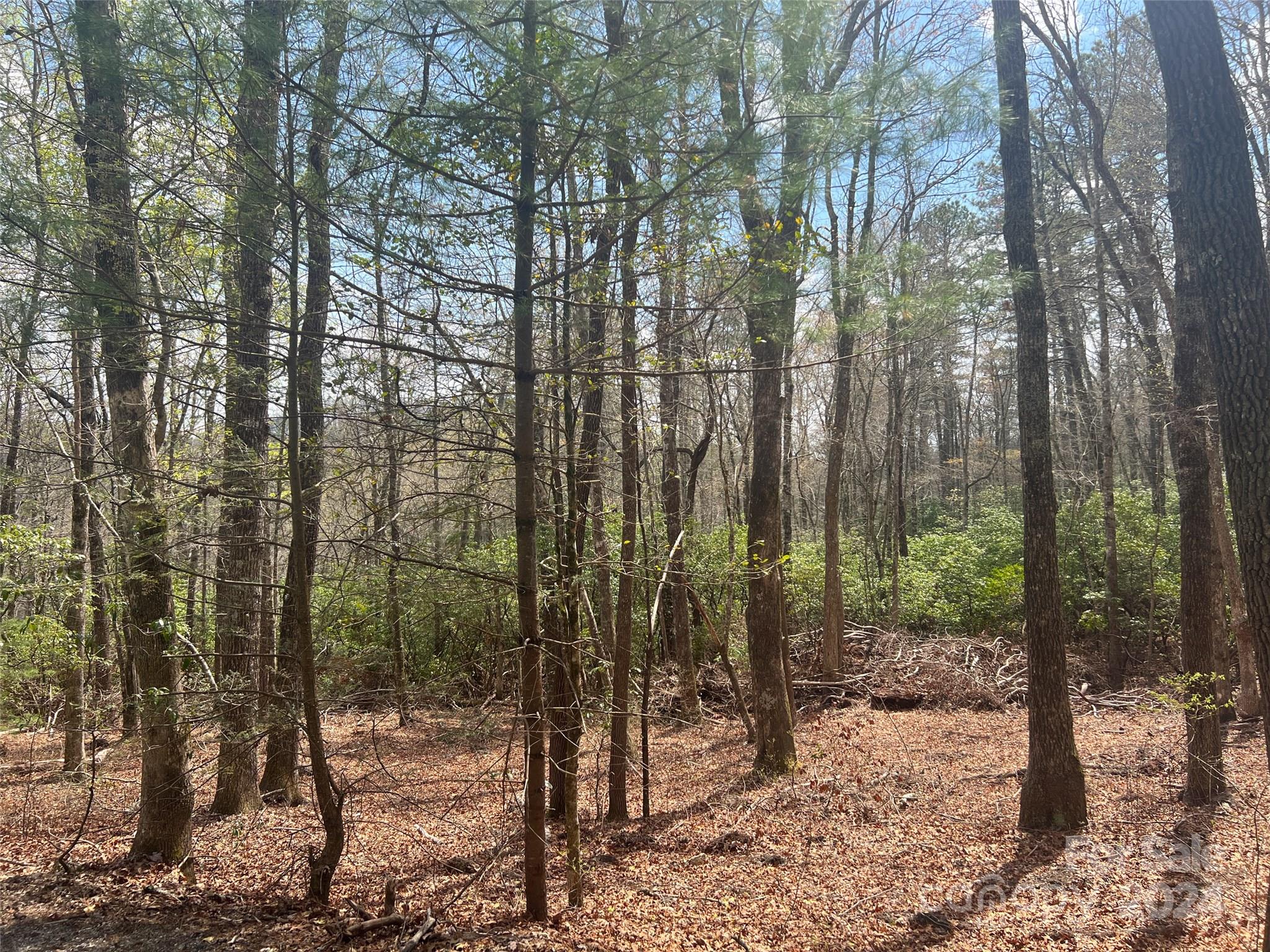Sequoyah Woods - Land