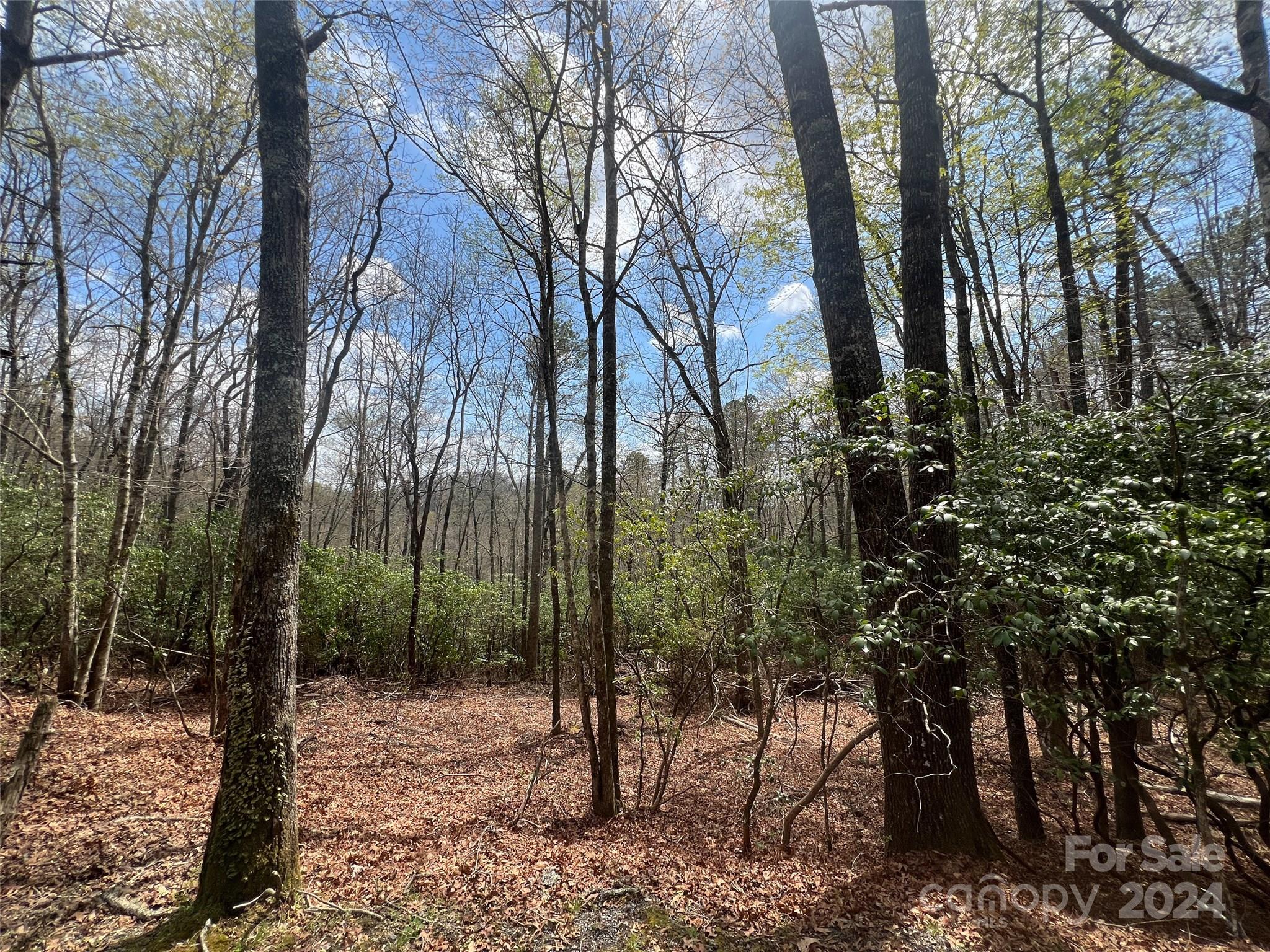 Sequoyah Woods - Land