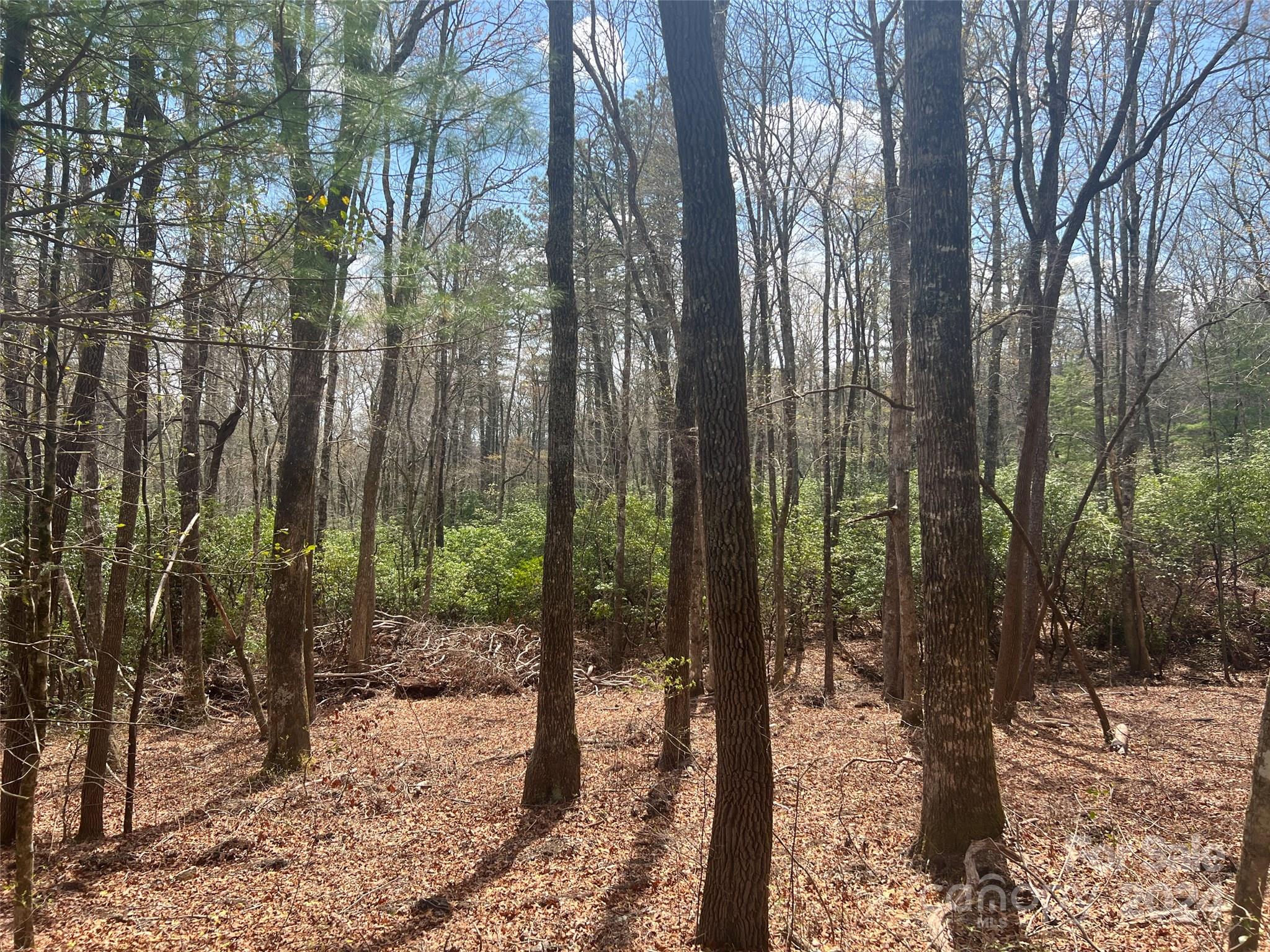 Sequoyah Woods - Land