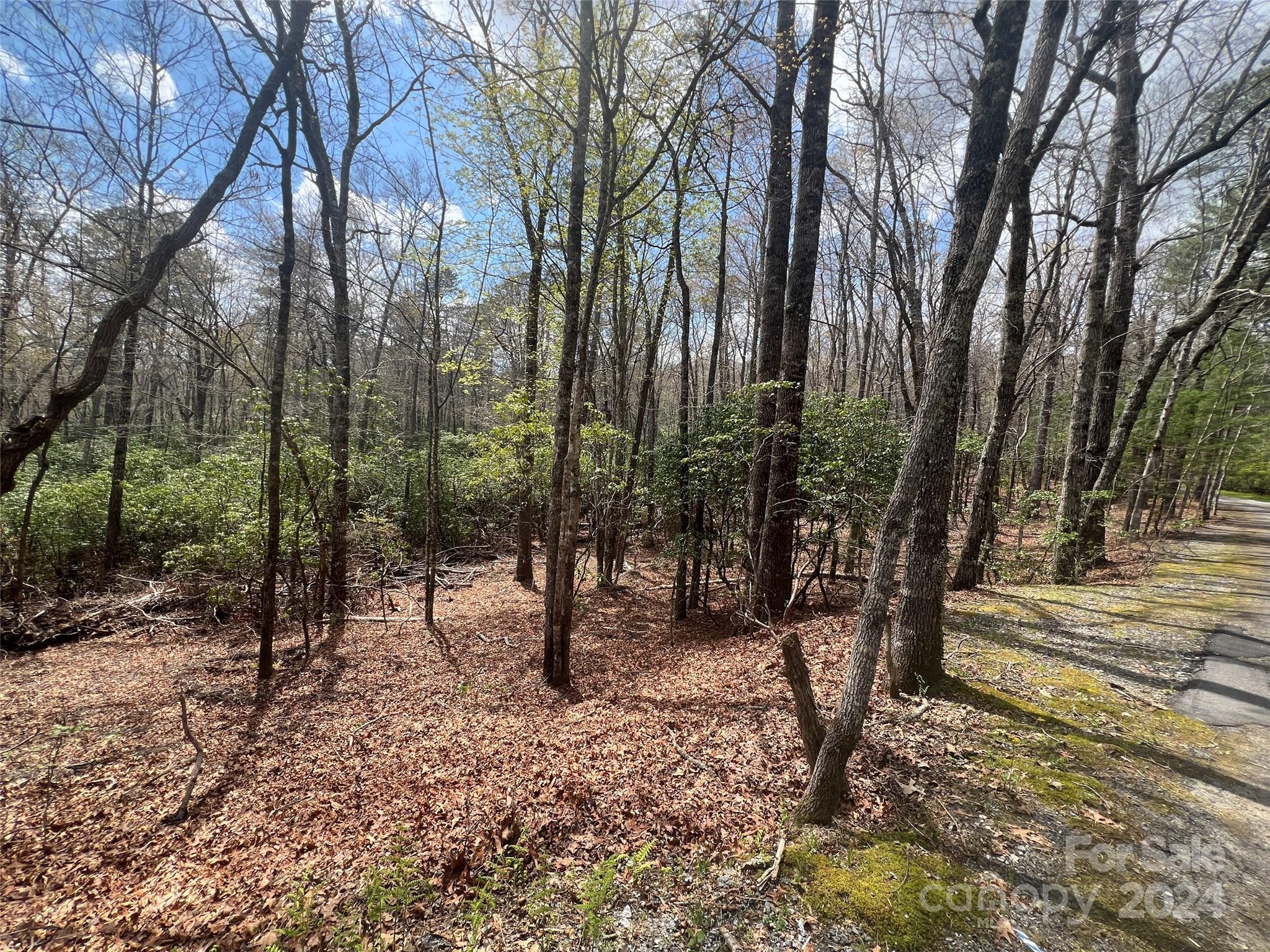 Sequoyah Woods - Land
