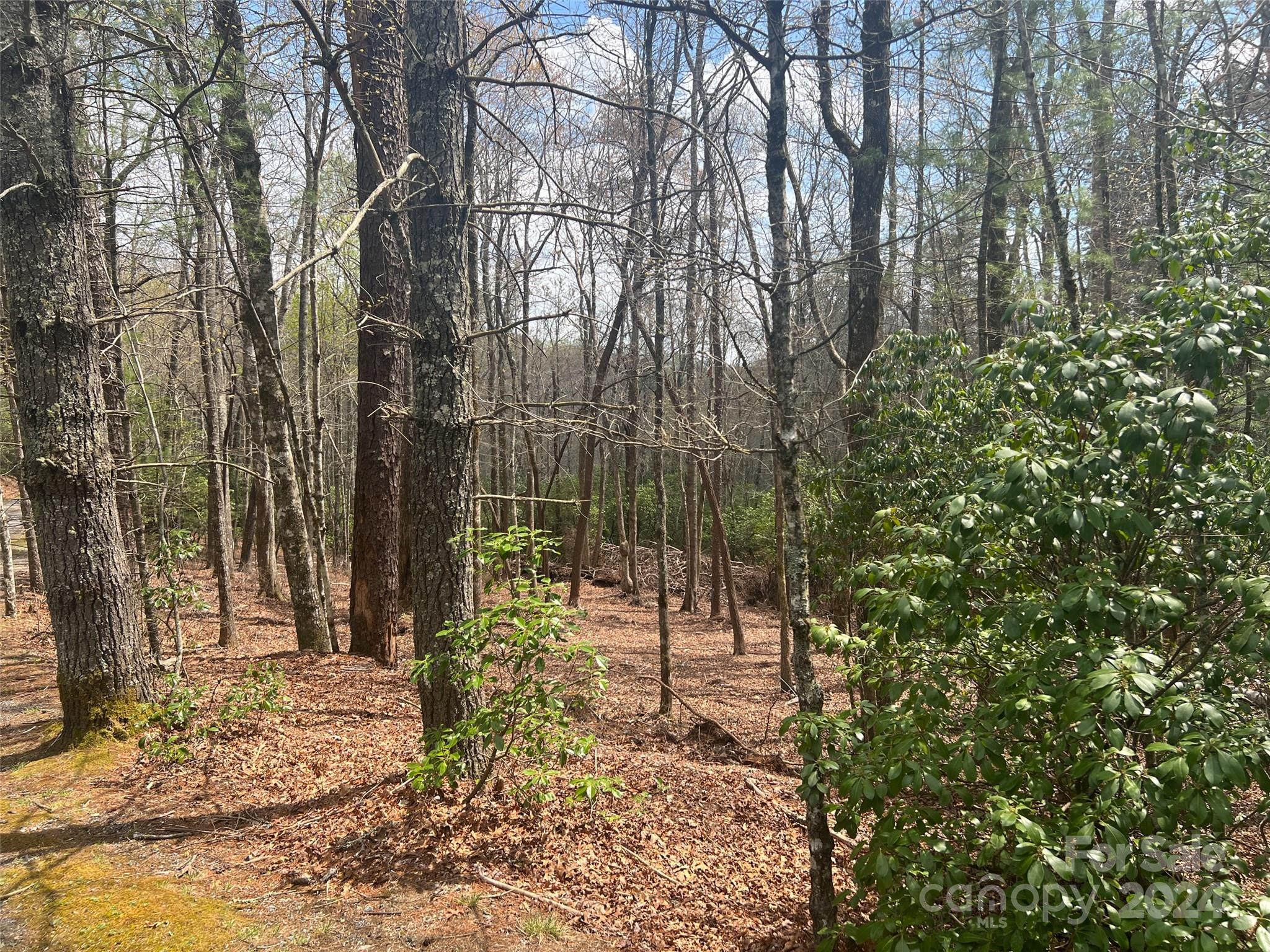 Sequoyah Woods - Land