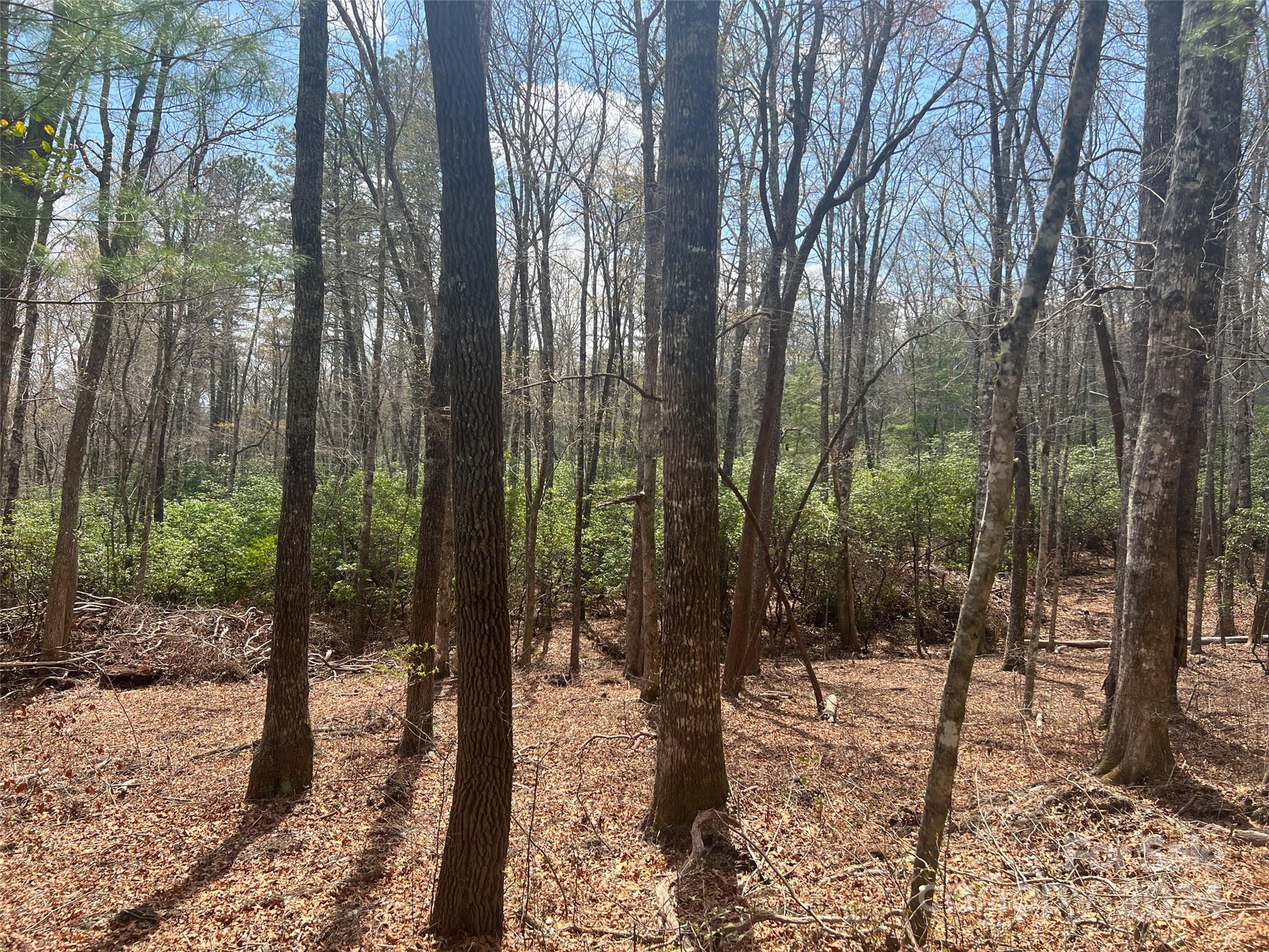 Sequoyah Woods - Land