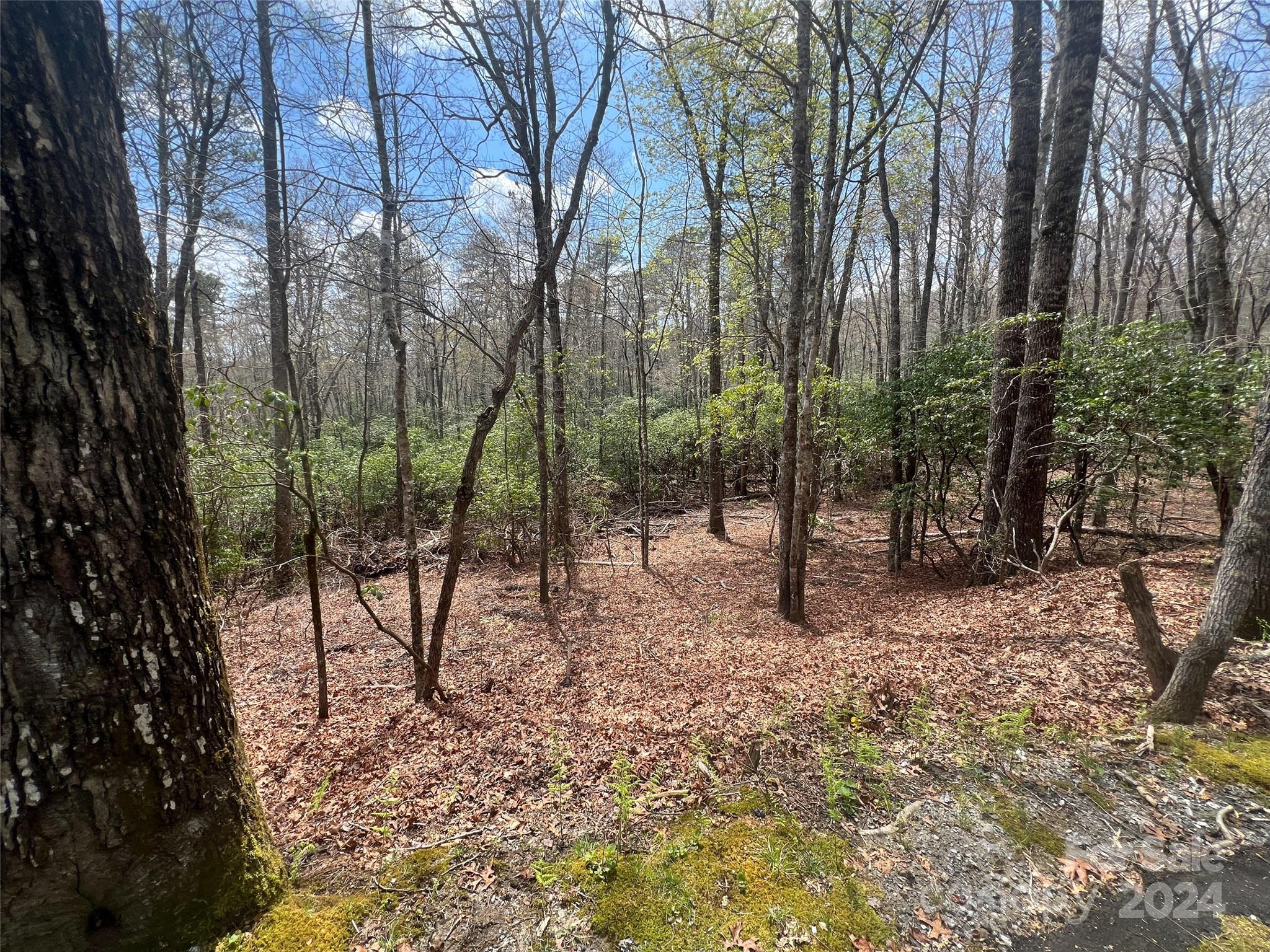 Sequoyah Woods - Land