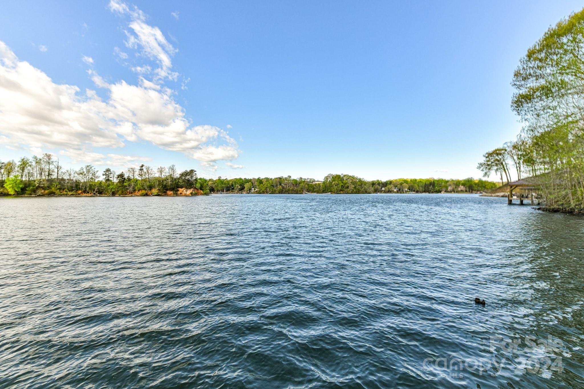 Windemere Island - Residential