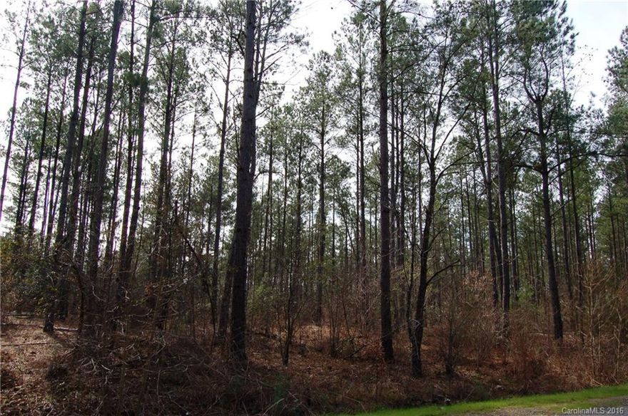 Great recreation property & good home site. Property is mostly wooded & has timber value. Excellent deer & turkey hunting land. Agent is part owner.
