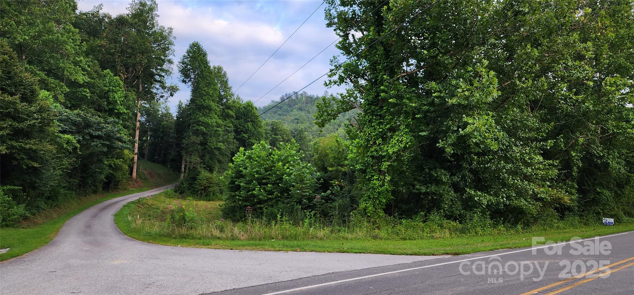 V/L Toms Creek Road