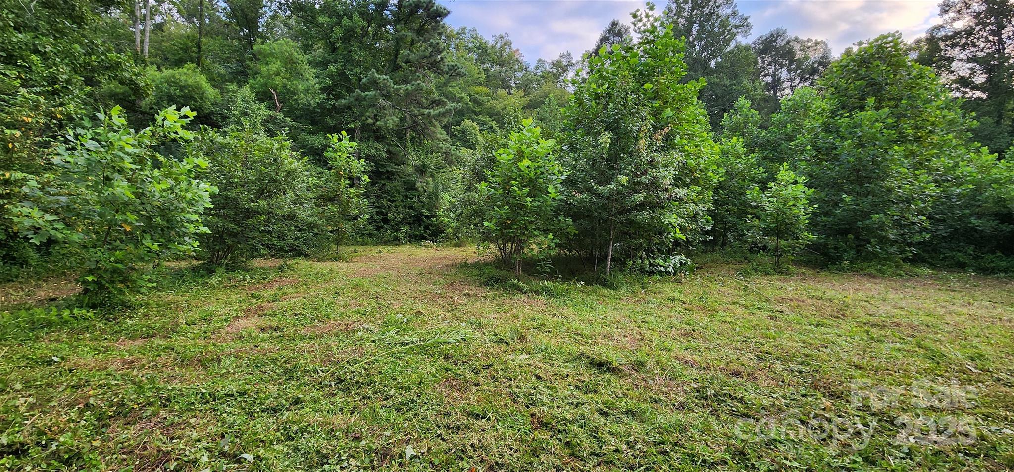 V/L Toms Creek Road