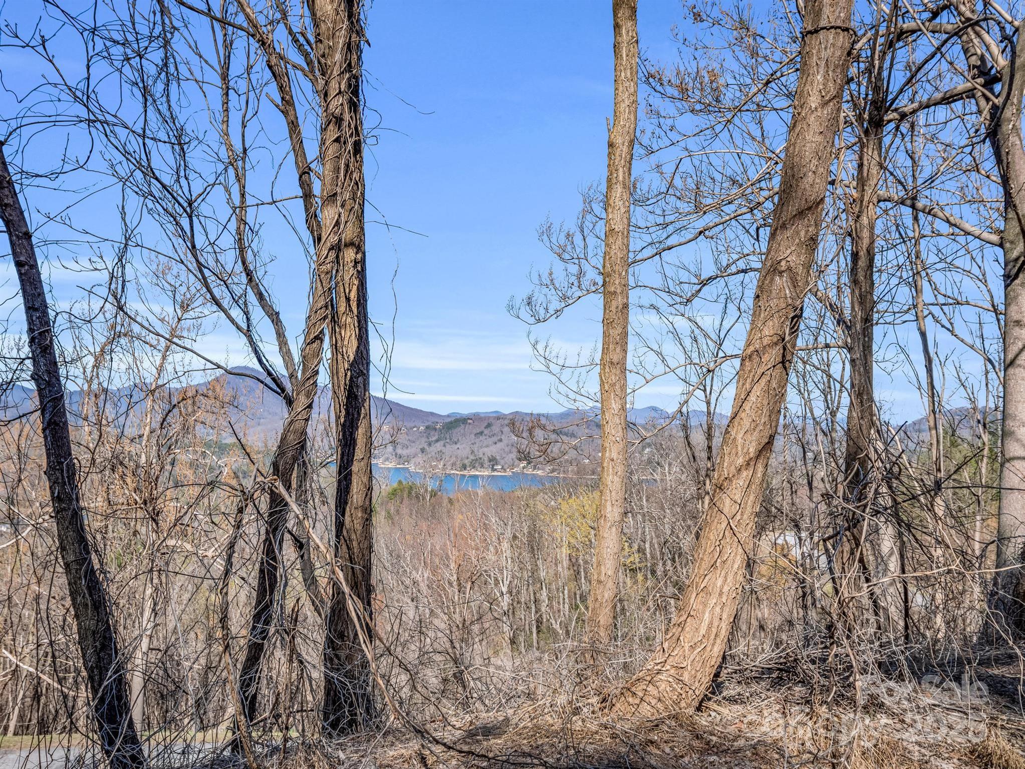 Highlands Of Lake Lure - Land