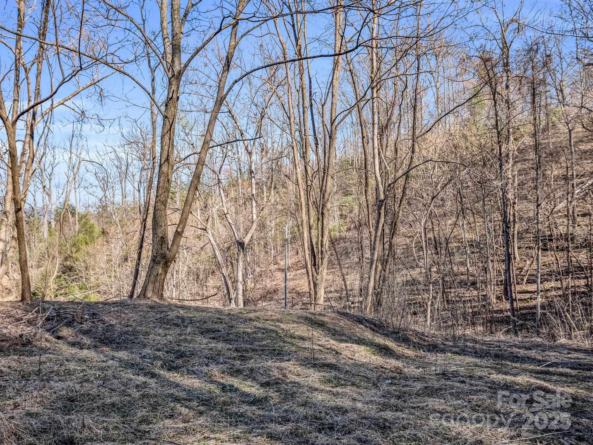 Highlands Of Lake Lure - Land