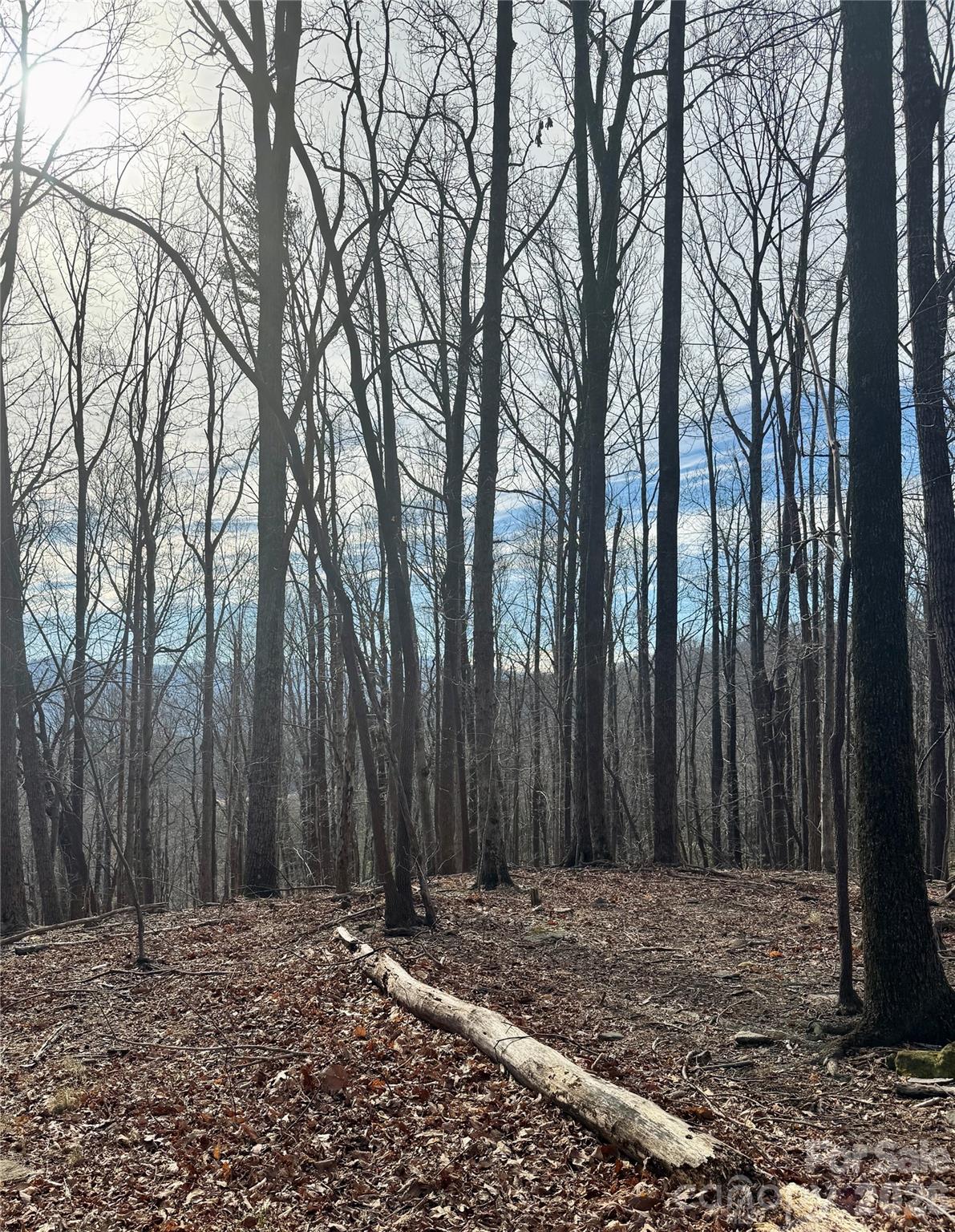 Brights Creek - Land