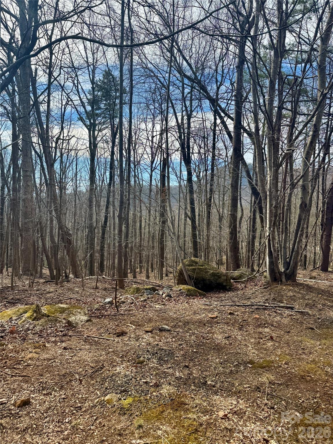 Brights Creek - Land