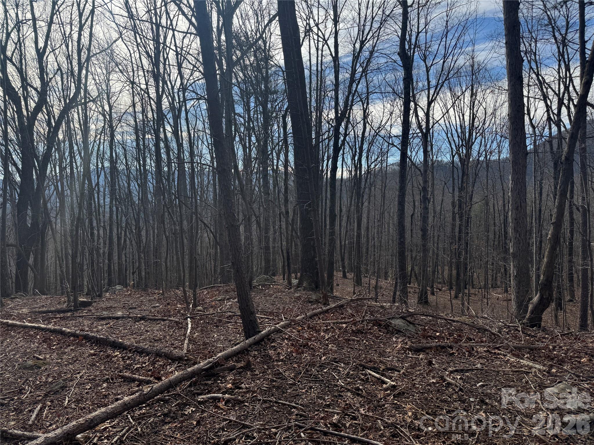 Brights Creek - Land