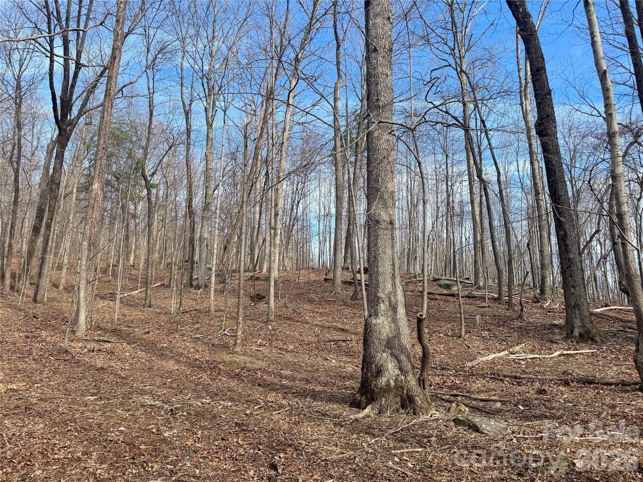 Brights Creek - Land