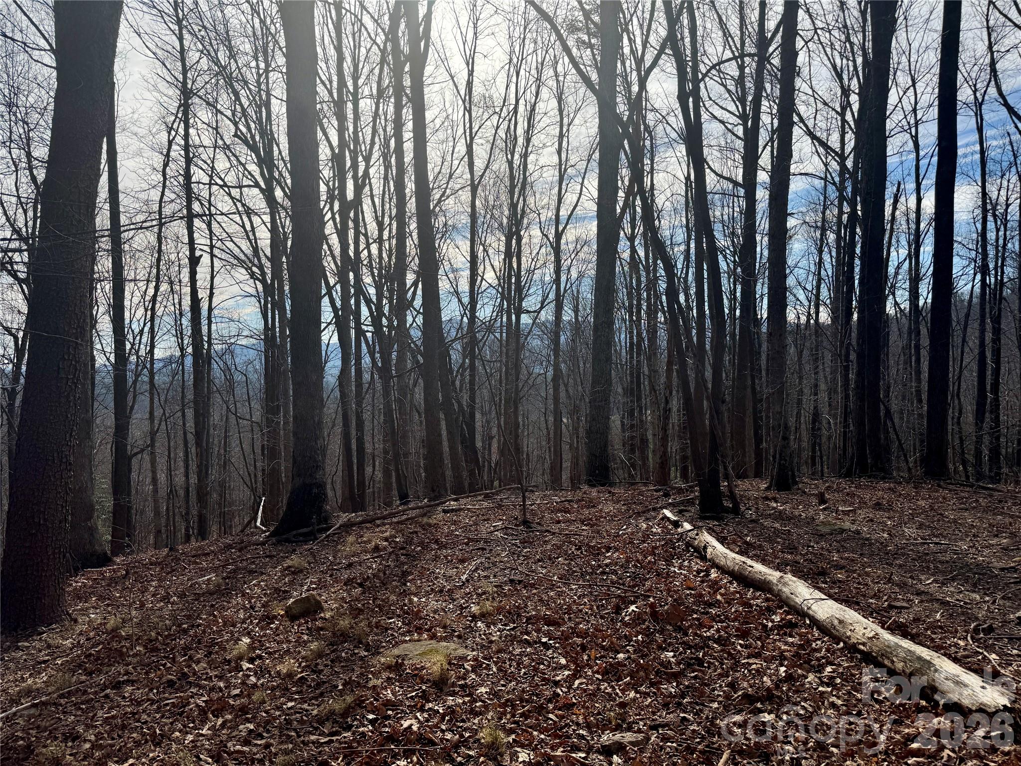 Brights Creek - Land