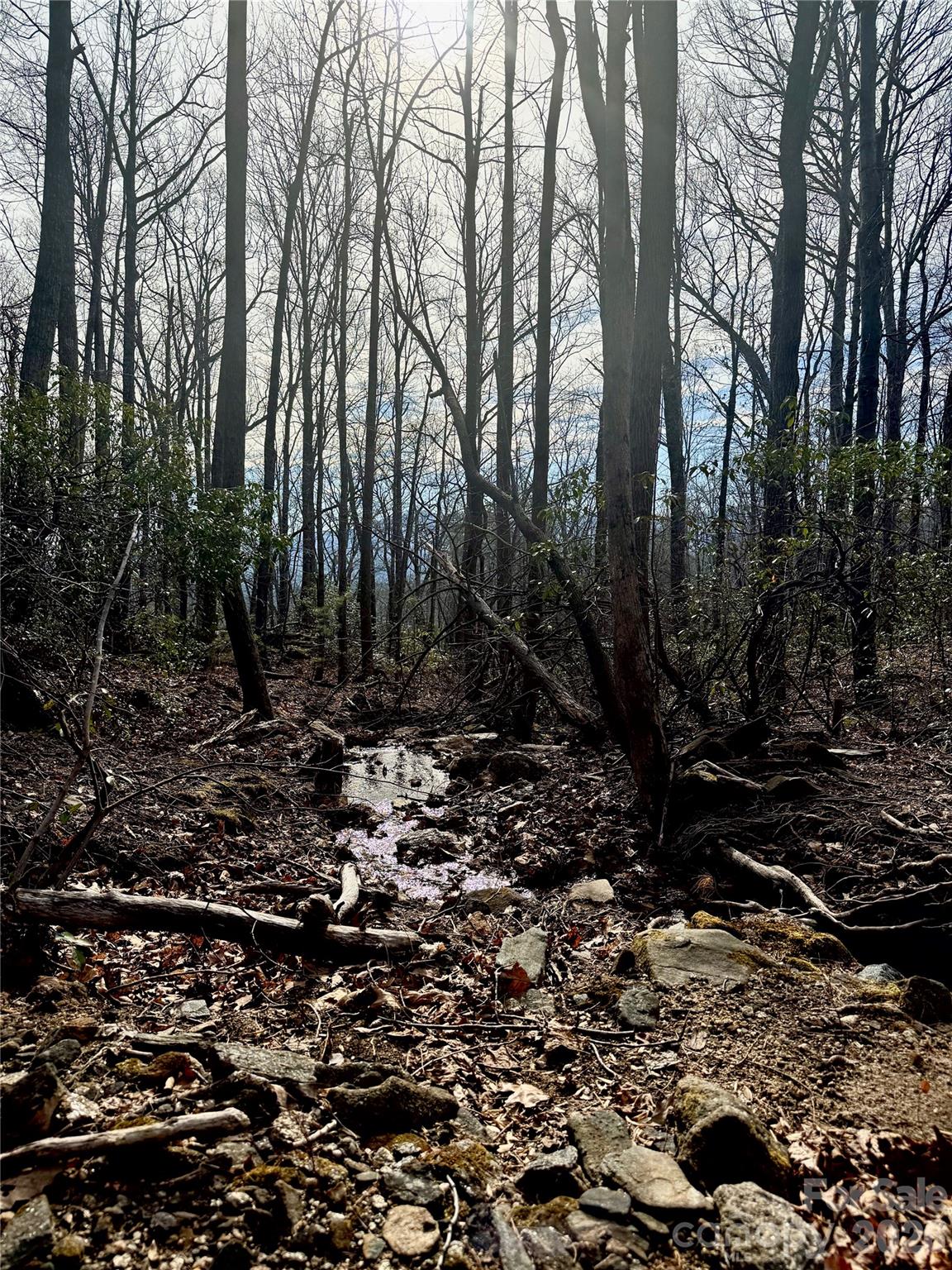 Brights Creek - Land