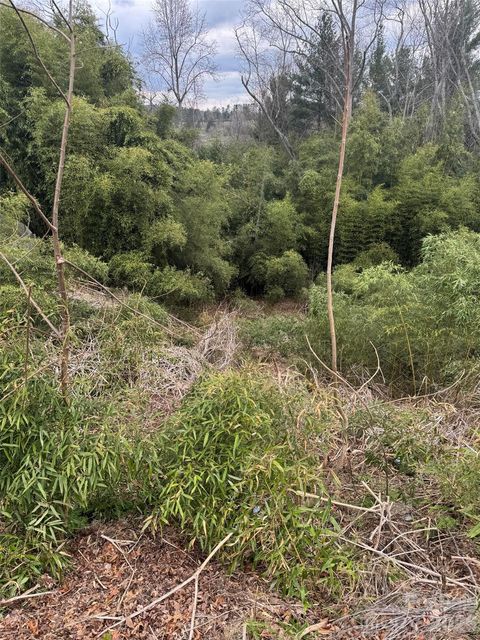 34 Belleair Road Asheville NC 28806