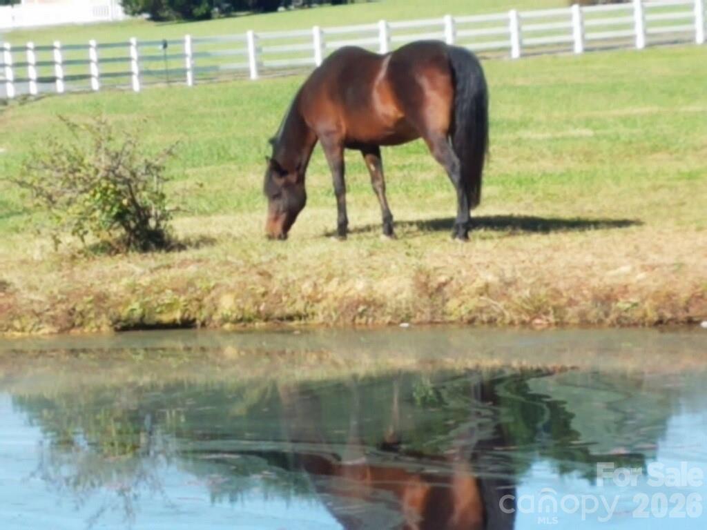 Waverly Place - Residential