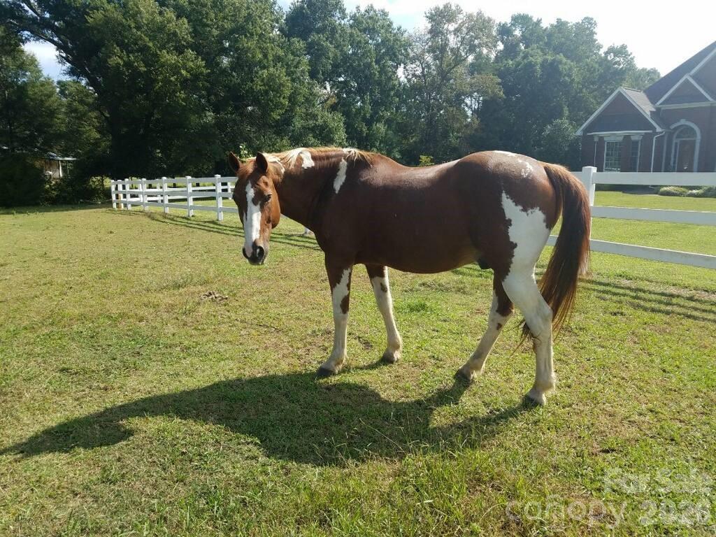 Waverly Place - Residential