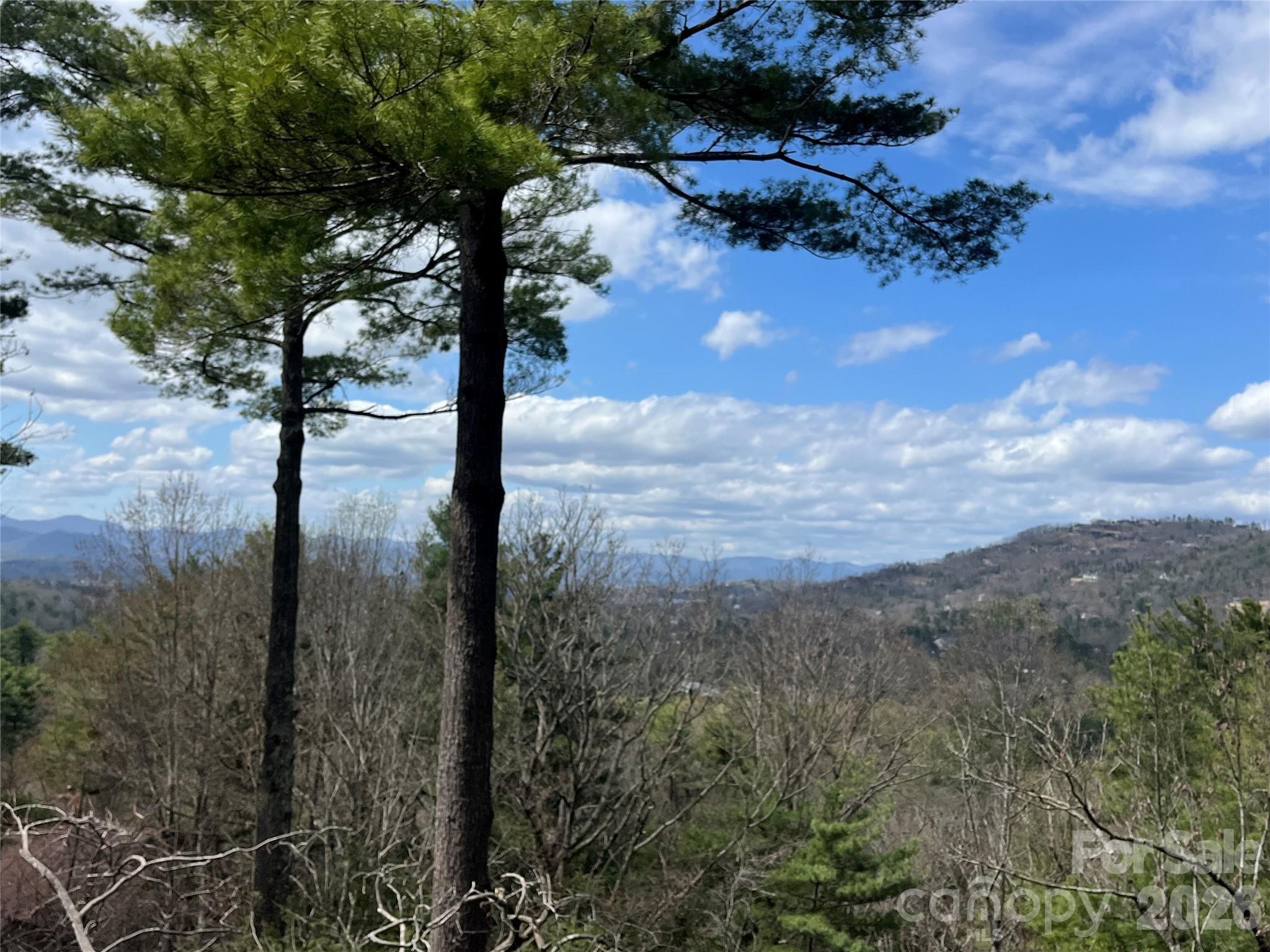 2902-A Timber Trail