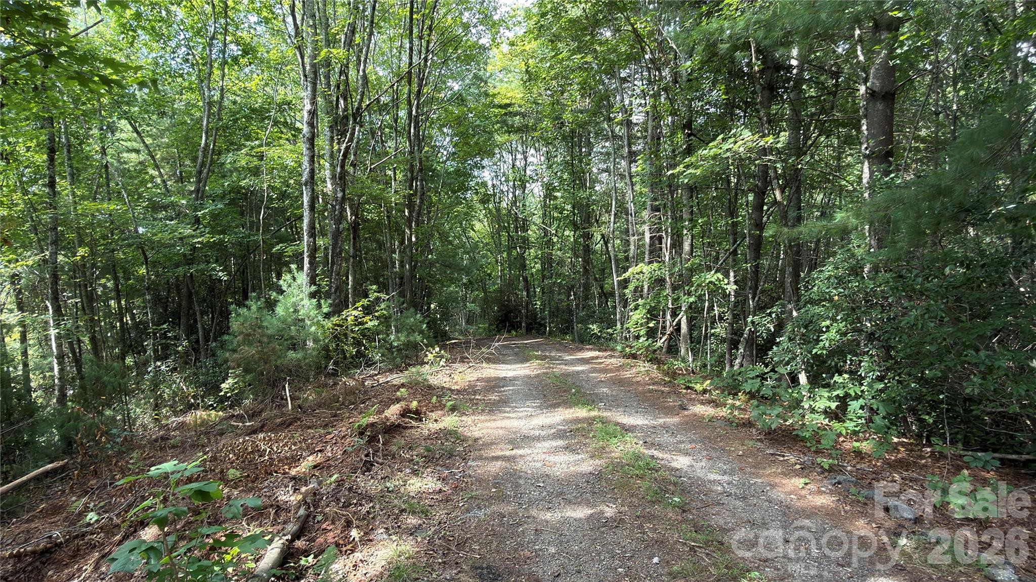 1730 Fox Hollow Road