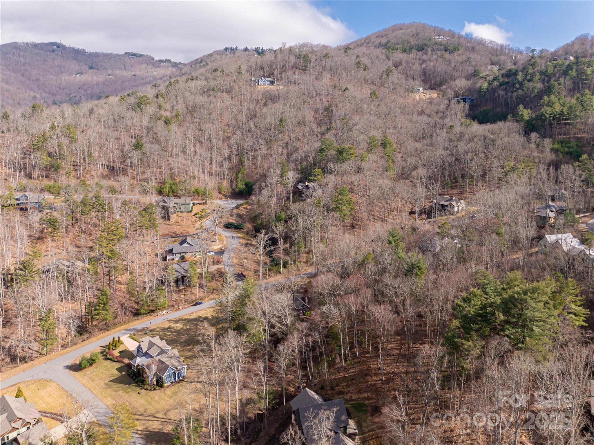 Town Mountain Preserve - Residential