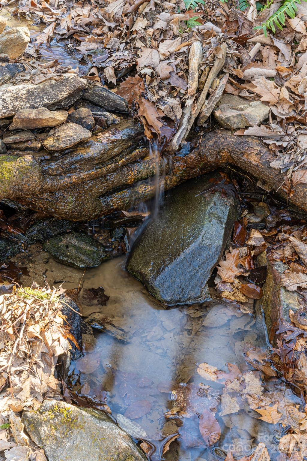 Town Mountain Preserve - Residential