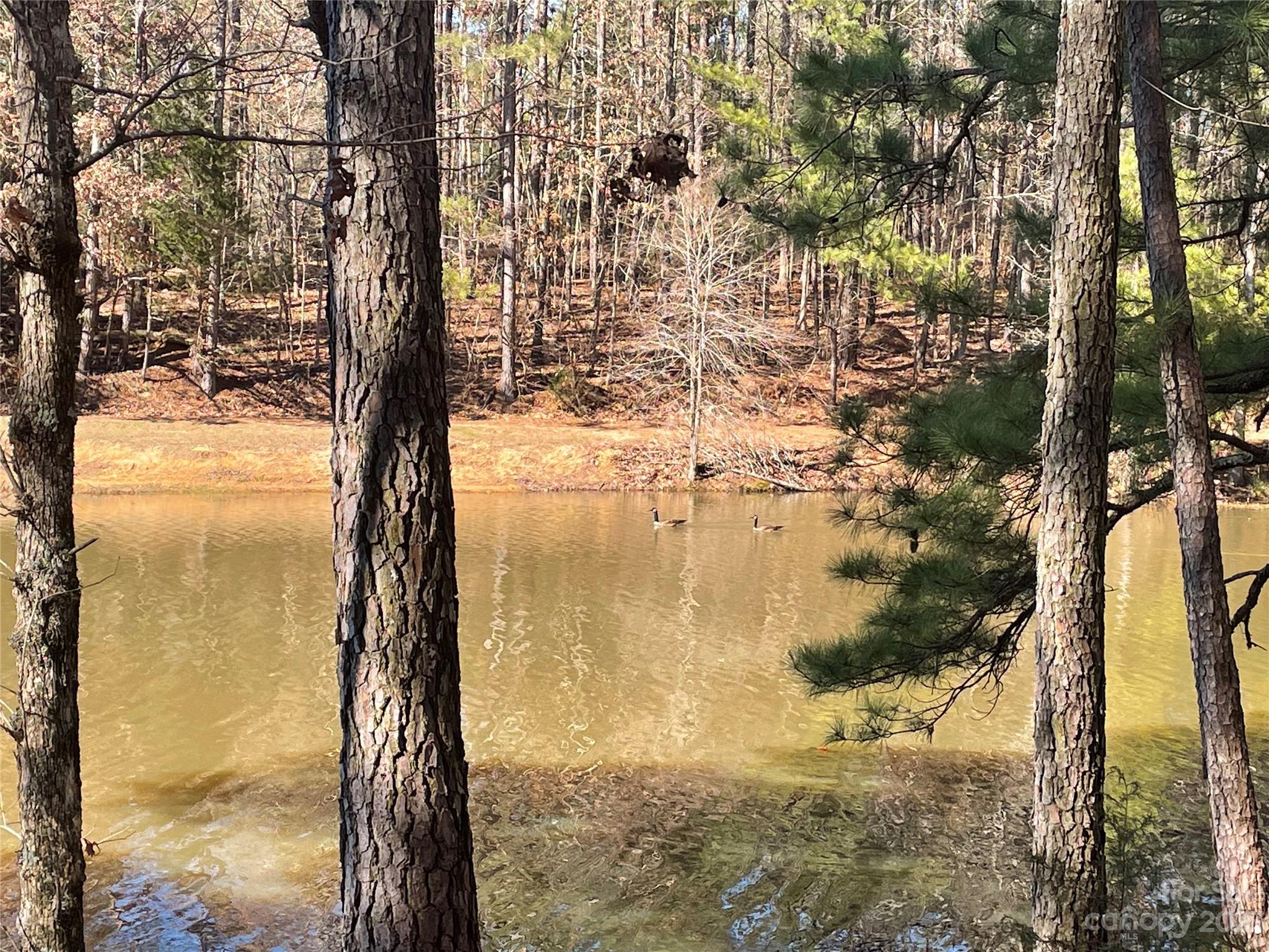 Merriweather Manor - Land