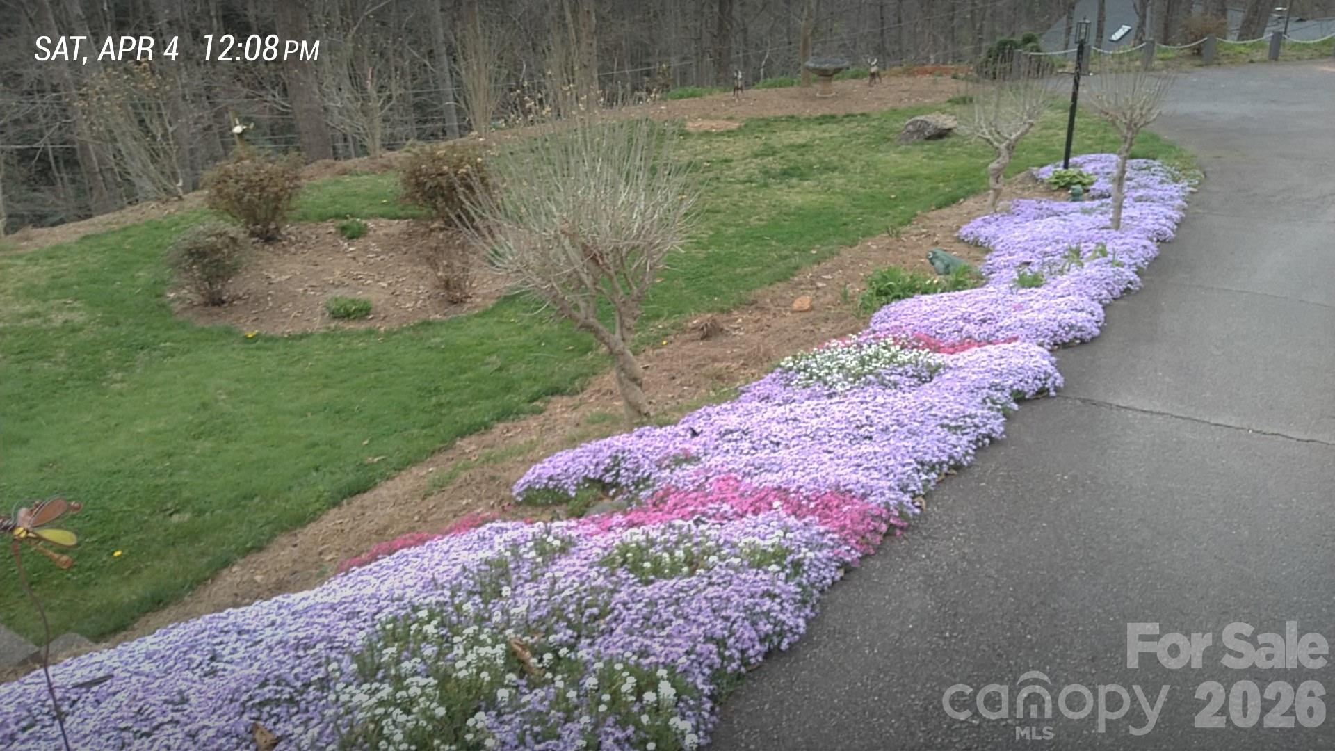 Camp Branch Acres - Residential