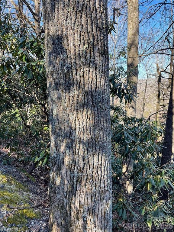 Lot E-15 Laurel Ridge Road