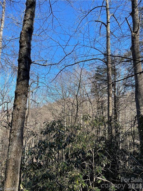 Lot E-15 Laurel Ridge Road