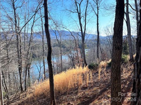 Lot 30 Mountain Parkway Mill Spring NC 28756