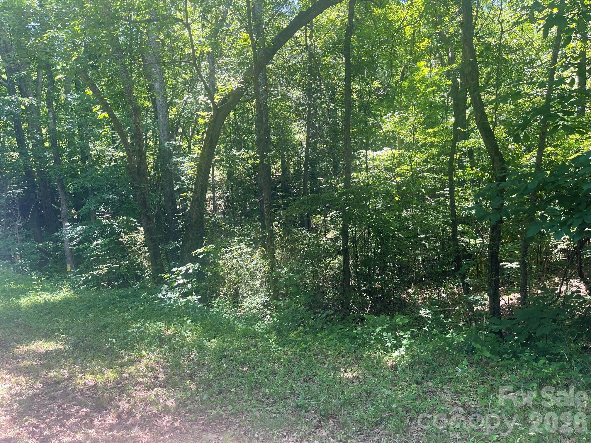 0 Locust Lane