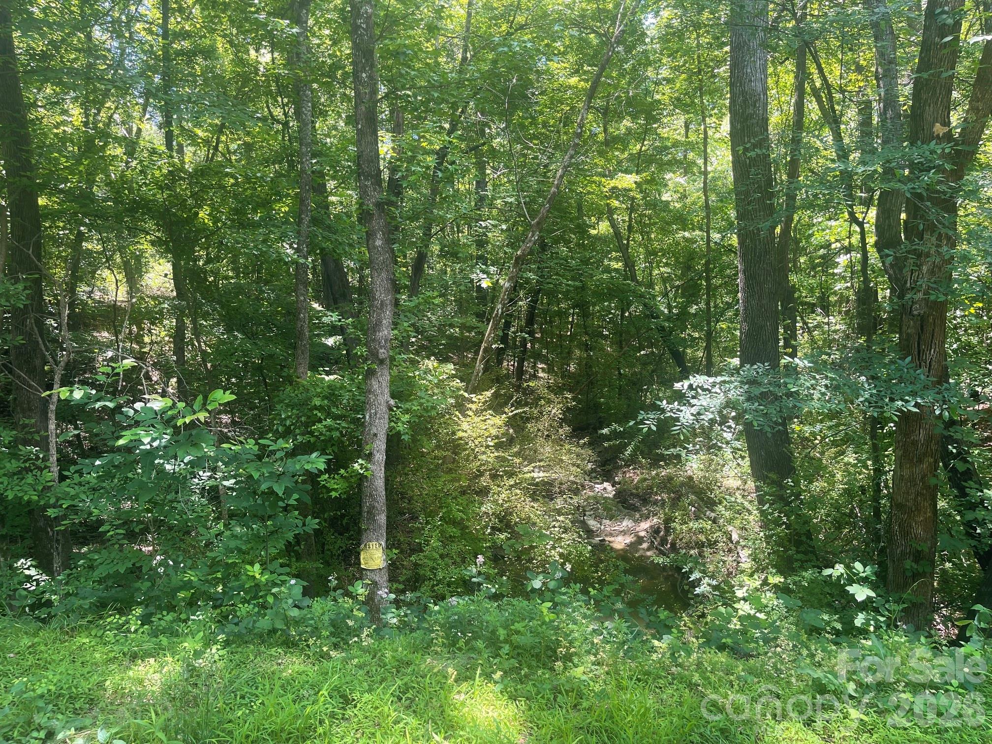 0 Locust Lane