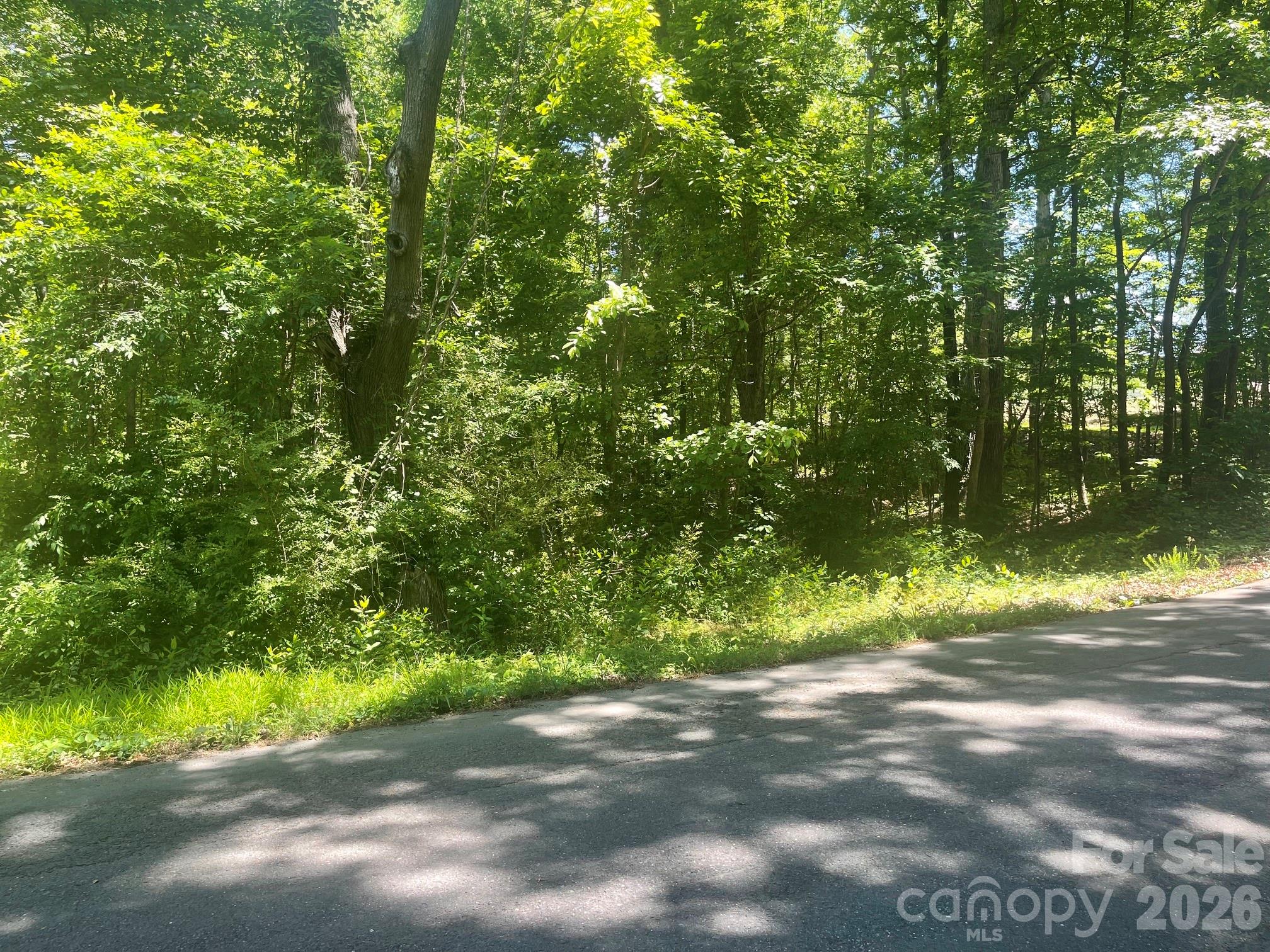 0 Locust Lane