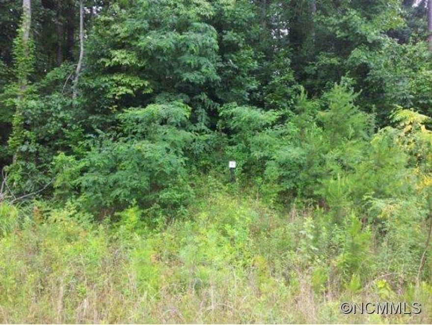This beautiful single-family home community, Rock Springs, is conveniently located approximately 10 minutes from Asheville. Subdivision has underground utilities in place and City water, and this lot perked for 3 bedrooms septic.