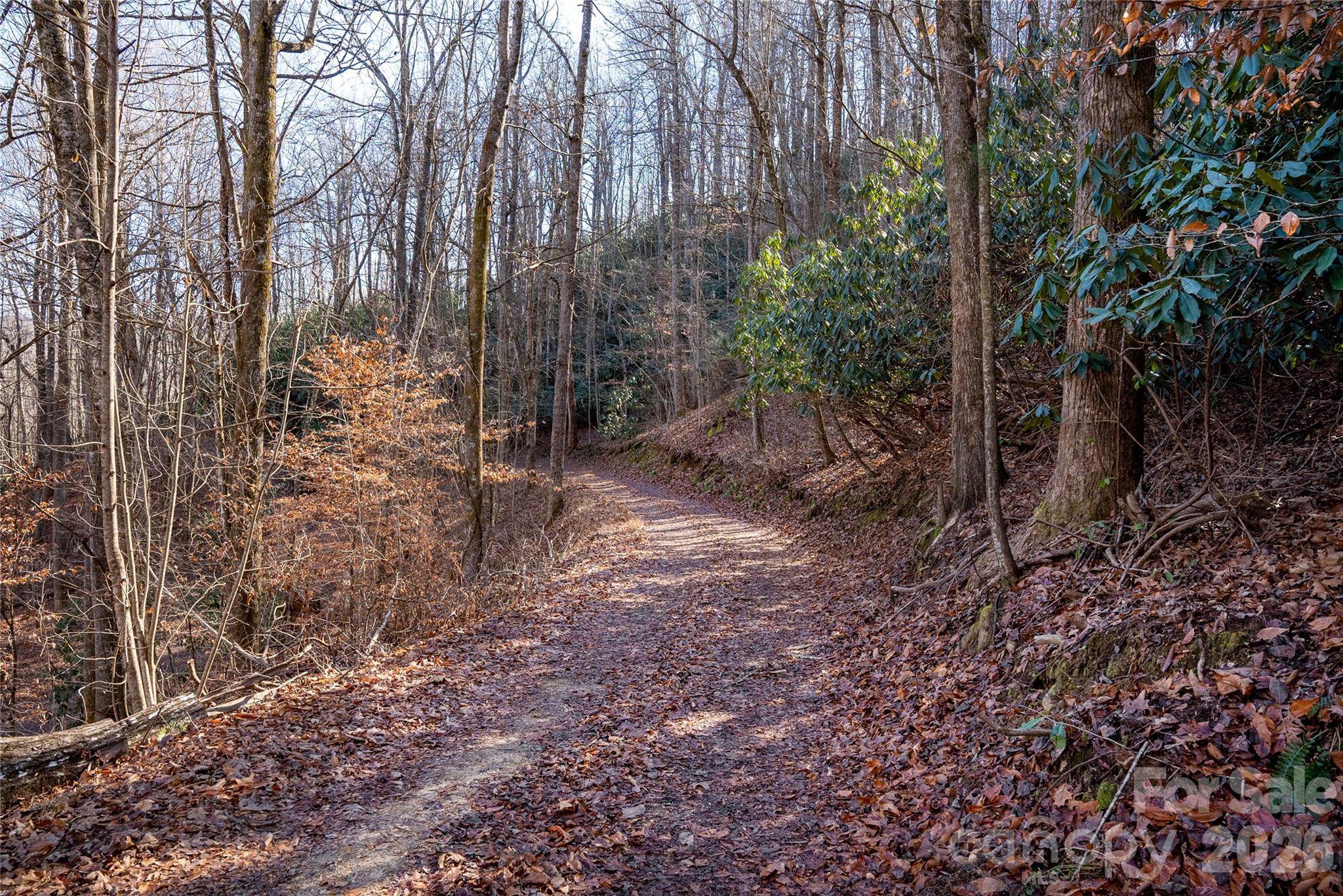 Henry Mountain - Residential